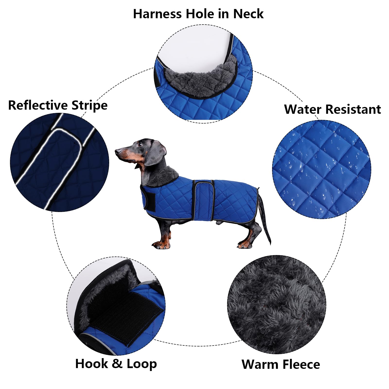 Morezi Dachshund Coats, Dachshund Coat, Coat For Dachshund, Dog Winter Coat With Padded Fleece Lining, Outdoor Dog Apparel With Adjustable Bands - Navy - S