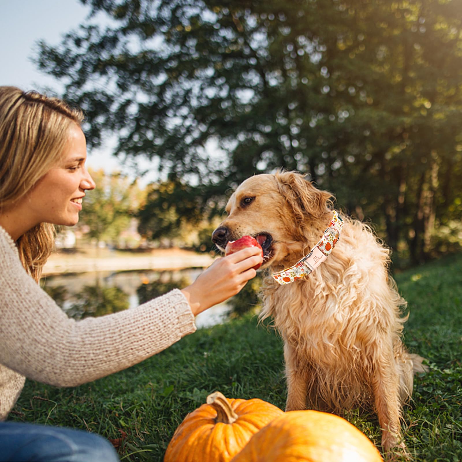 Lionheart Glory Adjustable Heavy Duty Dog Collar for Large Dogs - Pumpkin & Flower Halloween Design, Perfect for Fall Festivities