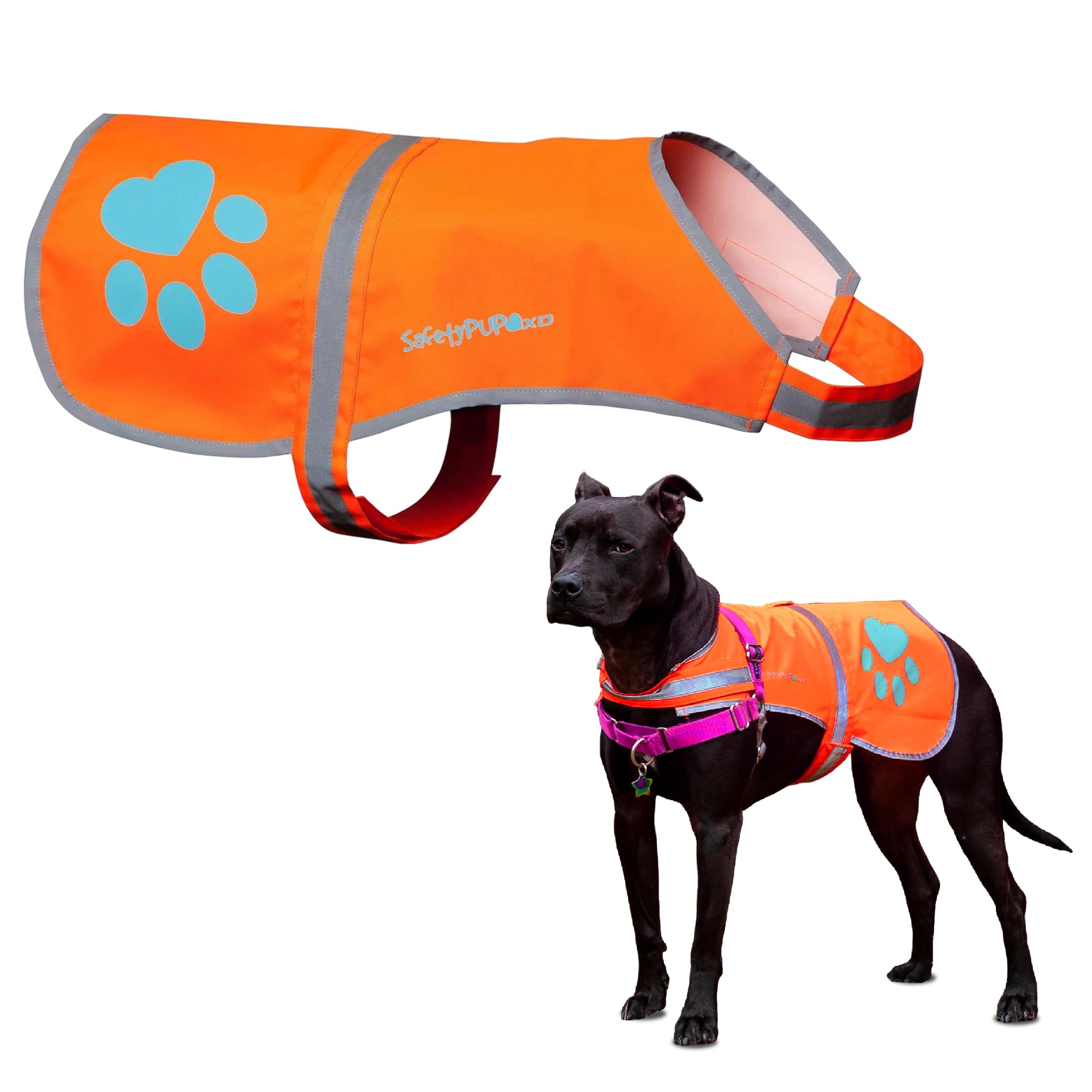 Safetypup Xd Reflective Dog Vest. Hi-Visibility, Fluorescent Blaze Orange Dog Vest Helps Protect Your Best Friend. Safeguard Your Pup From Motorists & Hunting Accidents, On Or Off Leash. (Large)