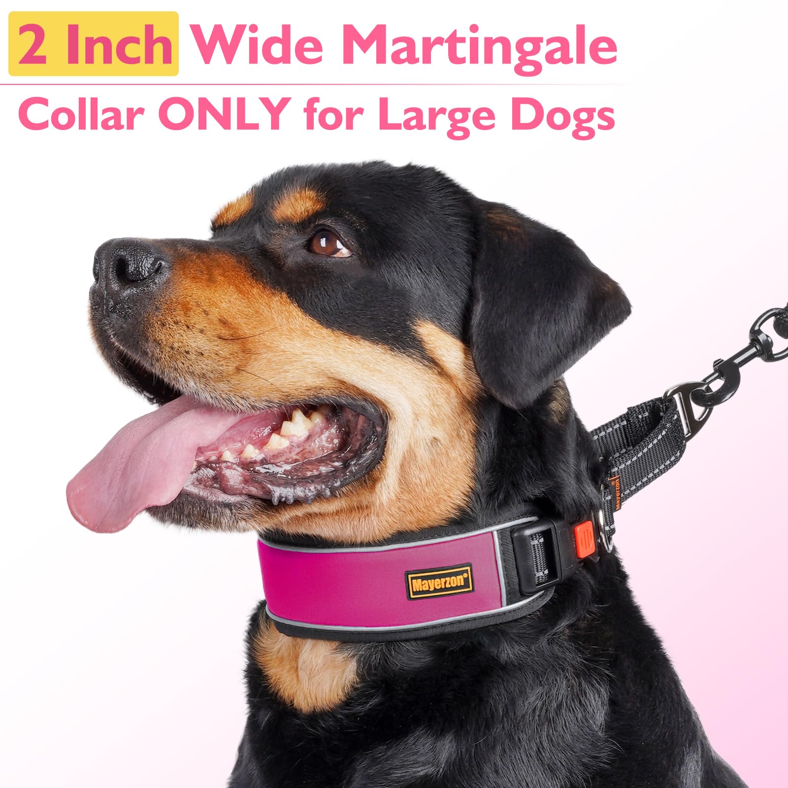 Mayerzon 2 Inch Wide Martingale Collar For Large Dogs, Patented No Pull Walking Training Dog Collar For Pitbull German Shepherd,