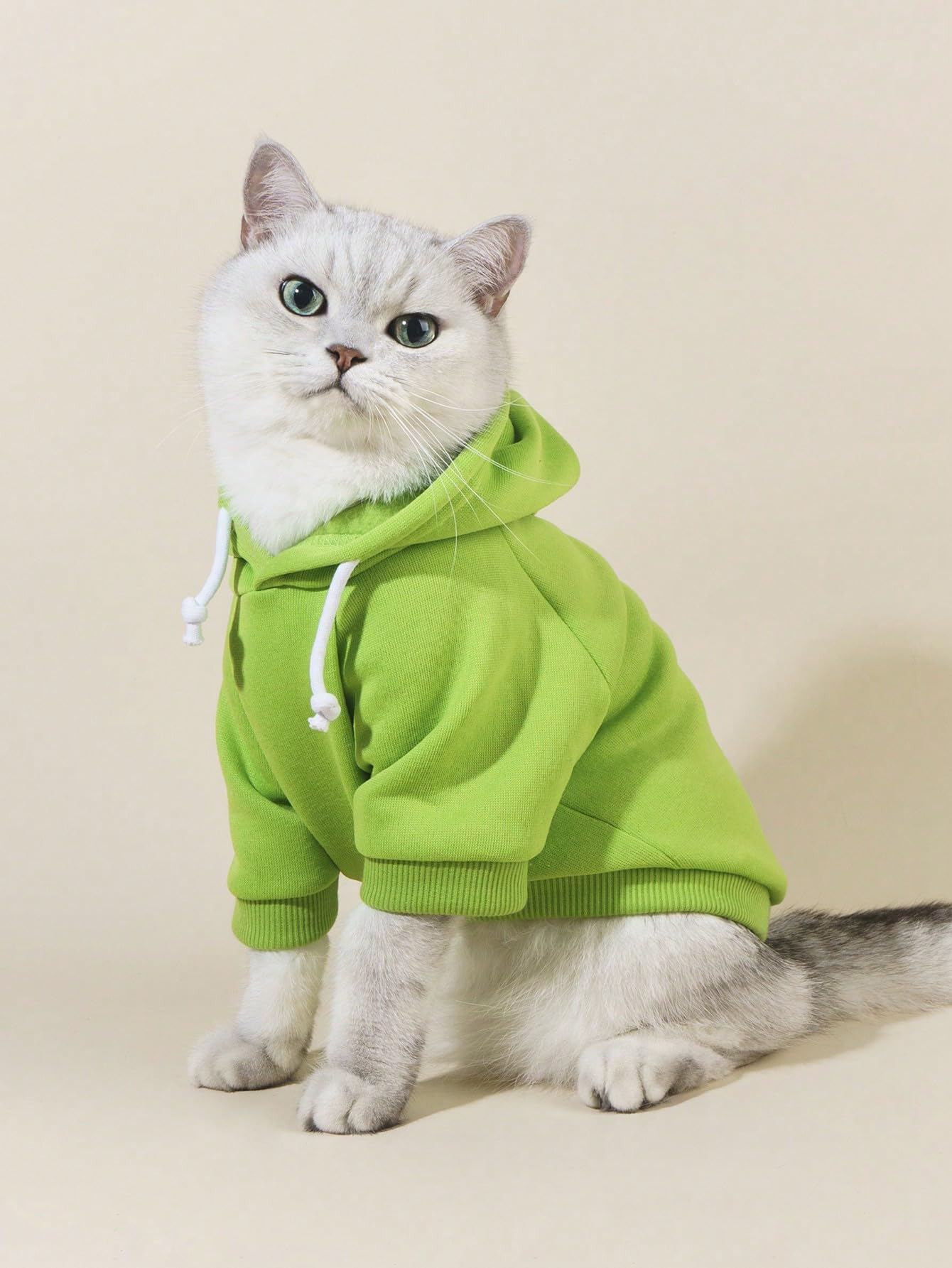 Qwinee Basic Dog Hoodie, Dog Warm Jacket, Cat Apparel, Dog Shirt, Dog Clothes For Puppy Kitten Small Medium Dogs Cats Green L