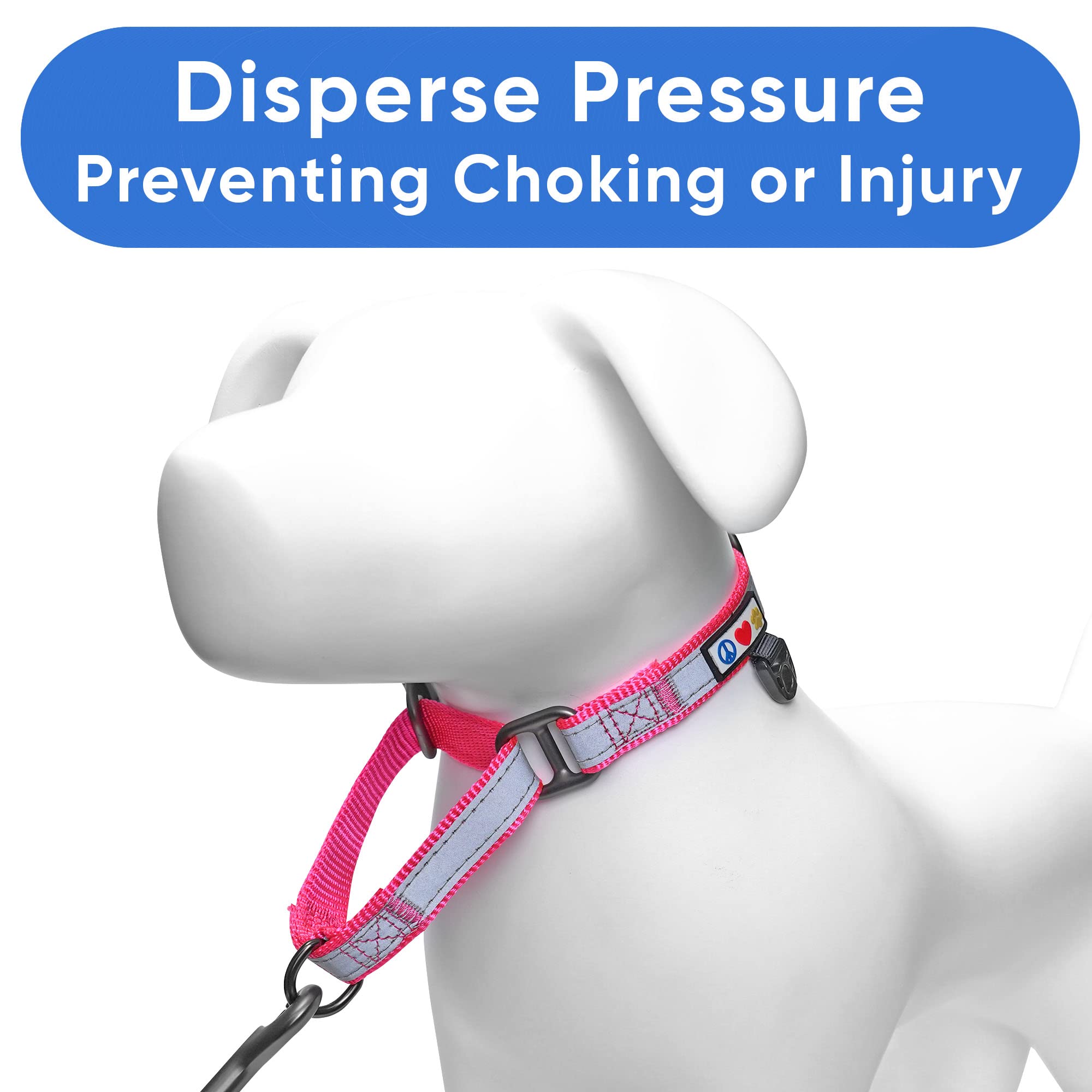 Pawtitas Personalized Dog Collar Martingale Dog Collar With Name Phone Number Reflective Martingale Dog Collar Customized Collar For Medium Dogs | Pink Custom Dog Collars For Medium Dogs