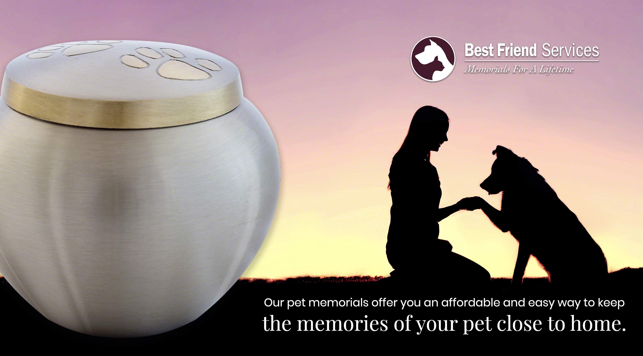 Best Friend Services Pet Urn - Memorial Cremation Pet Urns For Dog And Cat Ashes, Hand Carved Mia Series Urn For Pets Up To 25 Lbs (Small, Pewter, Double Brass Paws)
