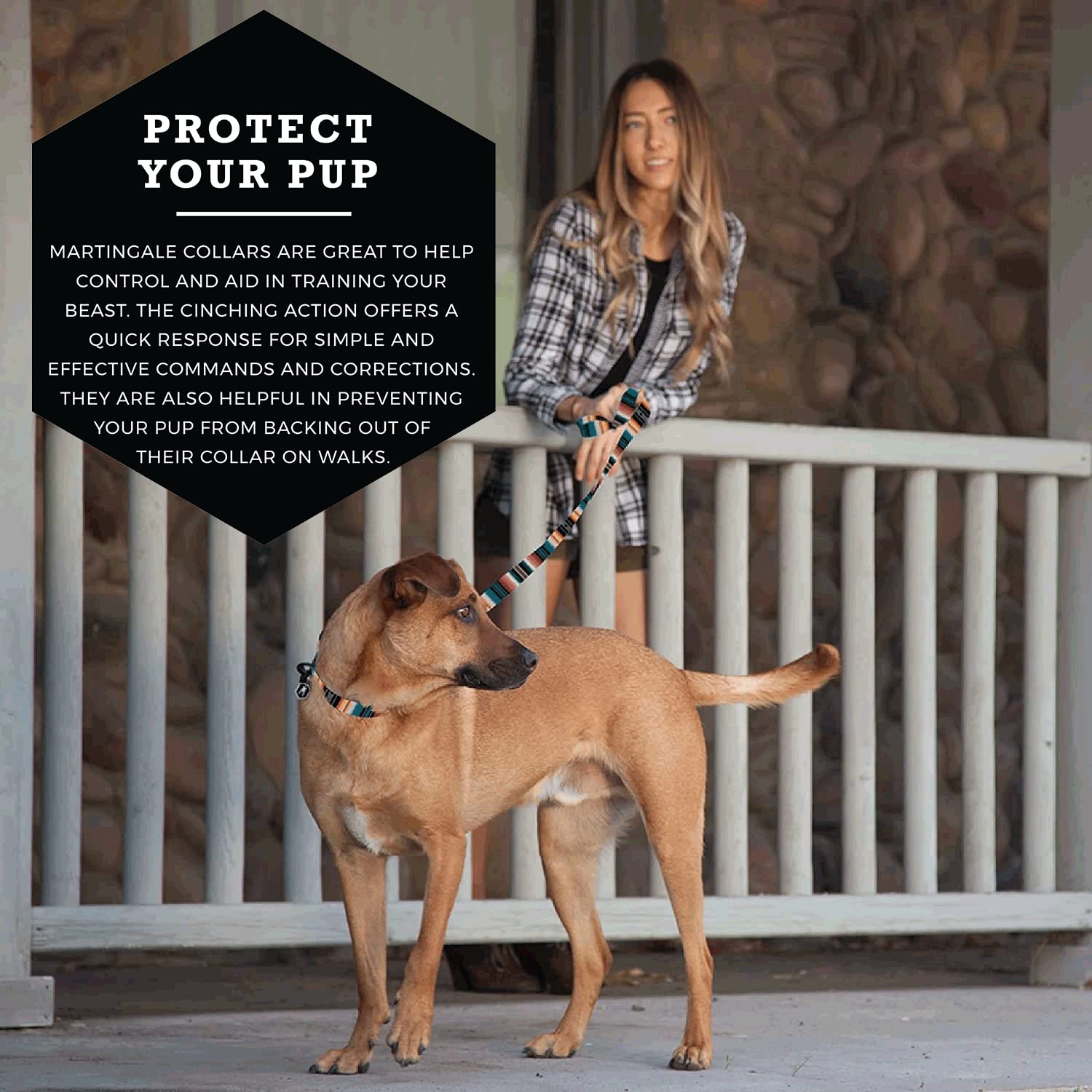 Wolfgang Heavy Duty Martingale Dog Collar With Quick Release Nylon Buckle For Walking & Training, Lostart Print, Medium