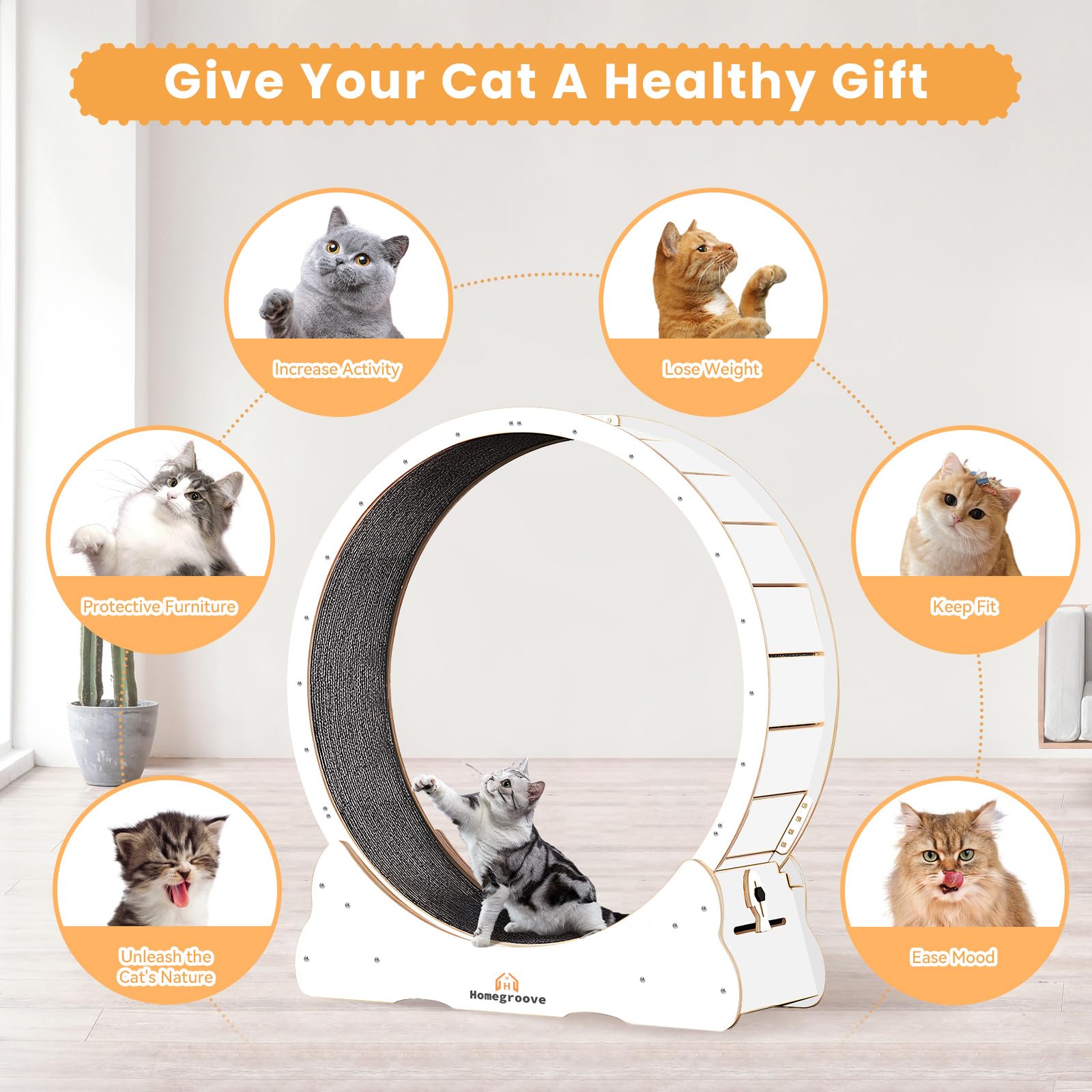 Homegroove Cat Running Wheel, 45'' Large Xl Cat Exercise Wheel Treadmill With Carpeted Runway, Fitness Weight Loss Device, Sport