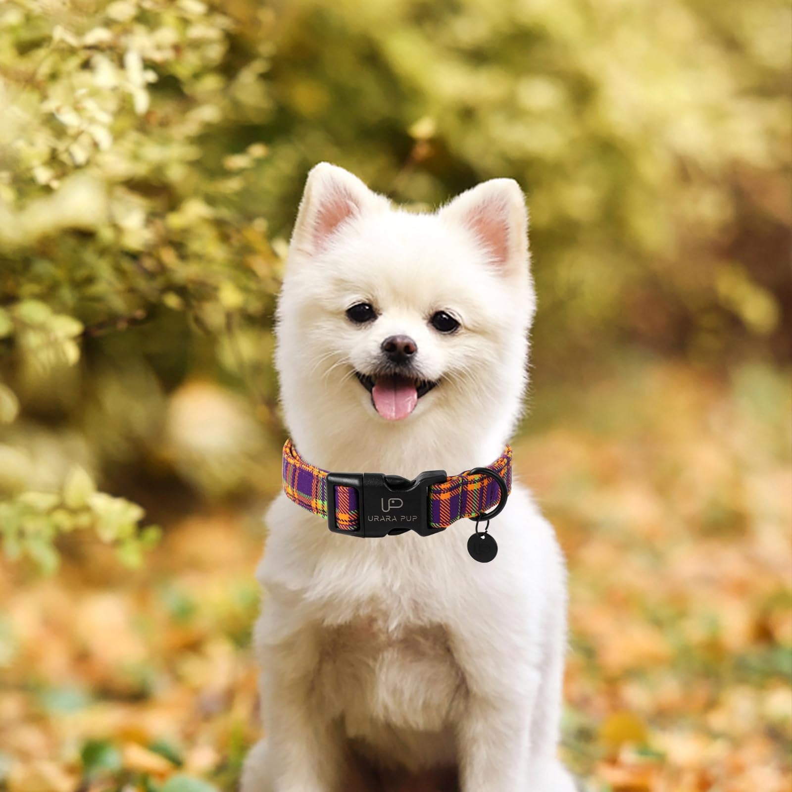 Up Urara Pup Halloween Dog Collar, Colorful Plaid For Small Dogs, Fall & Winter With Lightweight Plastic Buckle, Cute Pet Collar