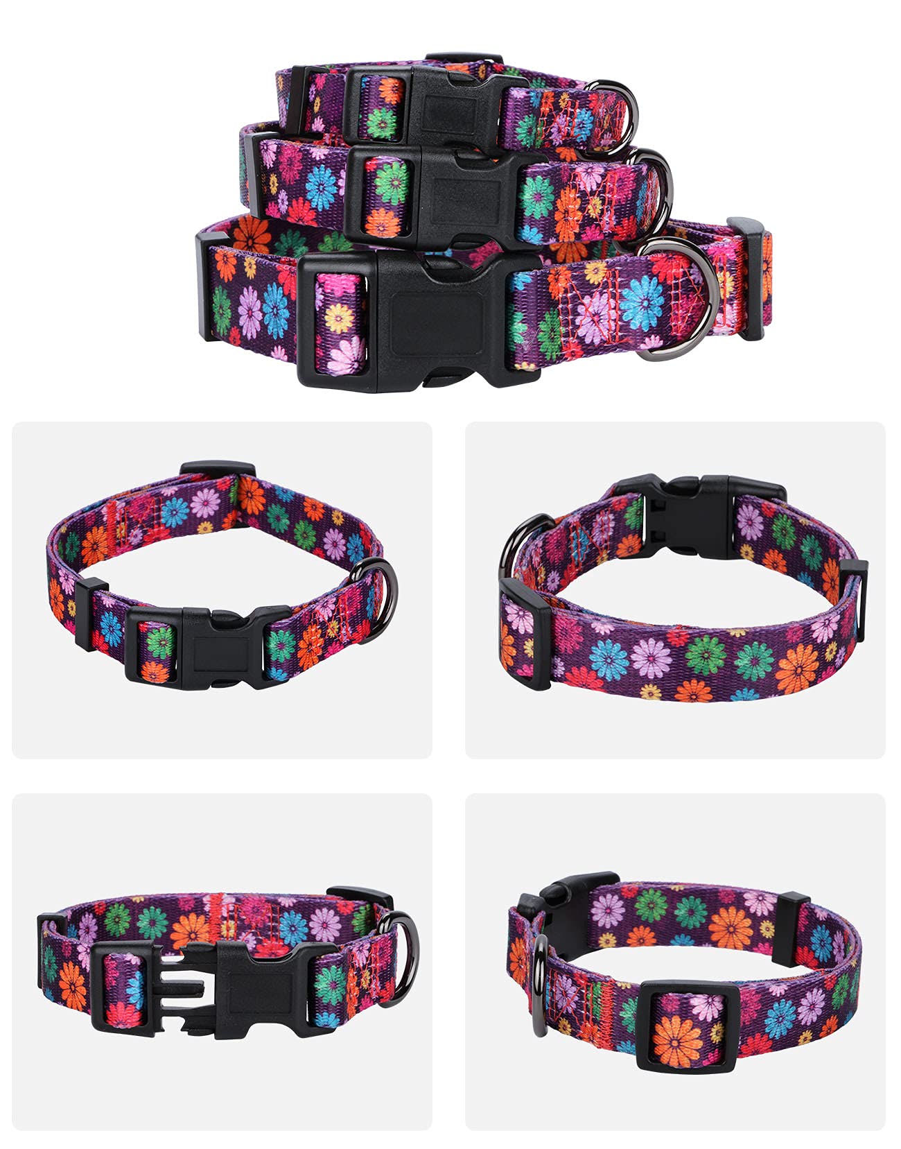Rhea Rose Girl Dog Collars Fall Daisy Pattern, Colorful Flowers Print, Female Collar, Dark Purple, Large