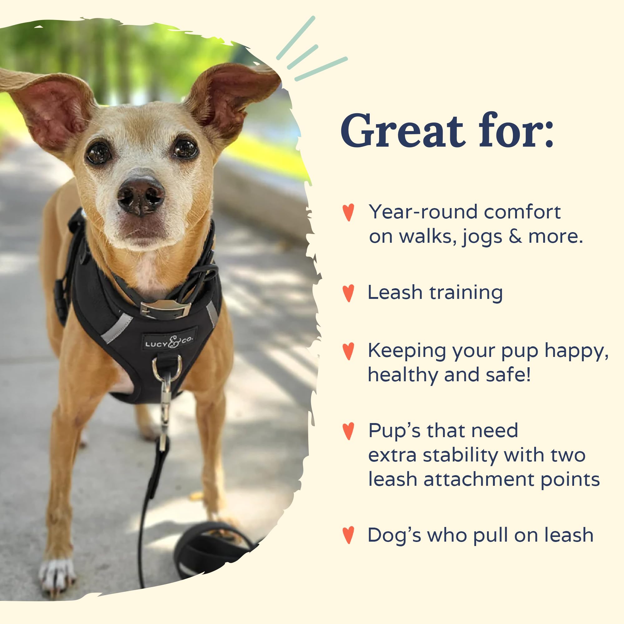 Lucy & Co. The Midnight No-Pull Dog Harness - Size Large - Vest to Stop Pulling & Walk Easy - Comfortable Leash Training Product