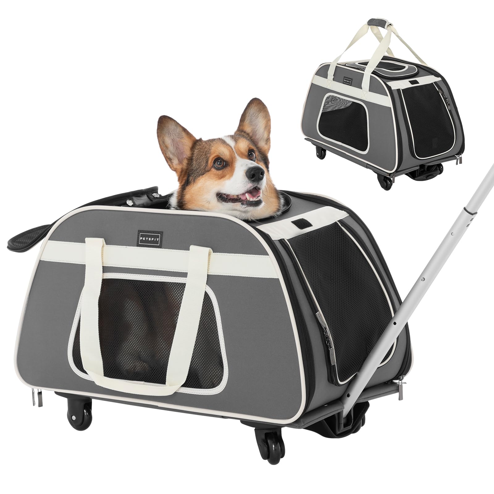 Petsfit Large Pet Carrier With Wheels Designed For 2 Small Dogs/Multiple Kittens/Medium Dogs With Adjustable Safety Rope & Water