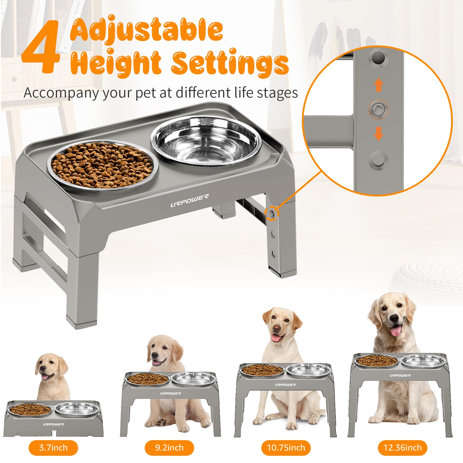 URPOWER 4 Height Adjustable Elevated Dog Bowls - 50oz Large Capacity Stainless Steel Bowls, No-Spill Edge, Non-Slip Stand for Sm
