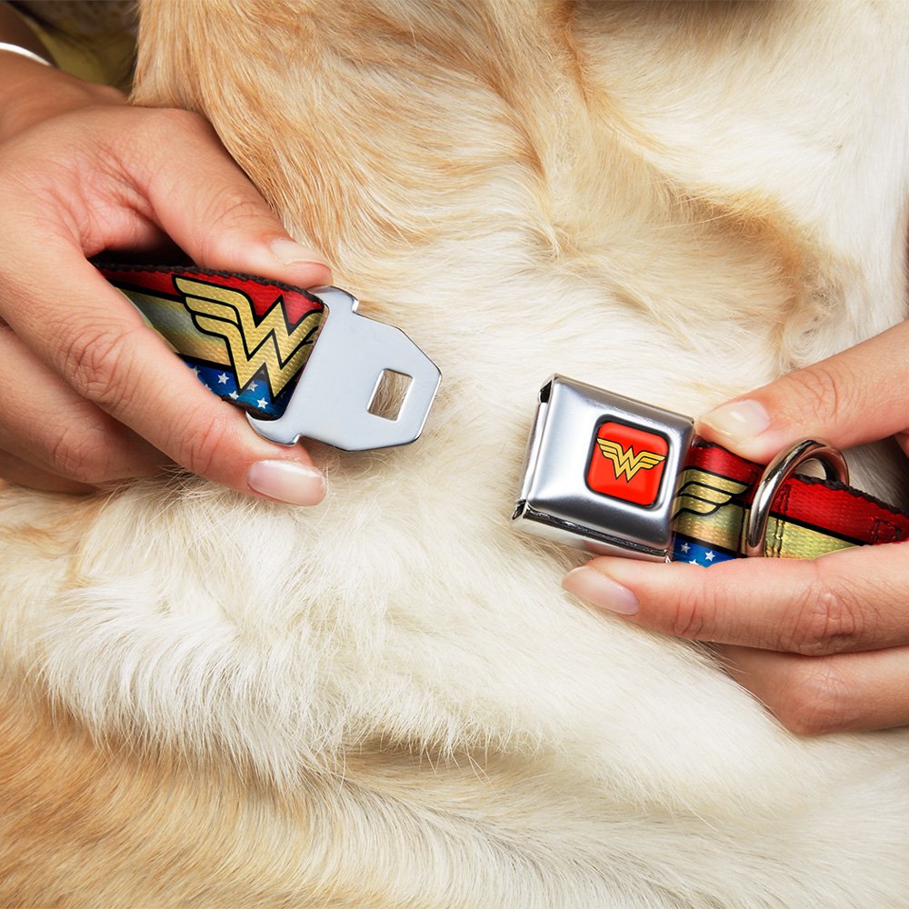Buckle-Down Dog Collar Seatbelt Buckle Wonder Woman Logo Stripe Stars Red Gold Blue White 9 To 15 Inches 1.0 Inch Wide, Multicolor (Dc-Www040-S)