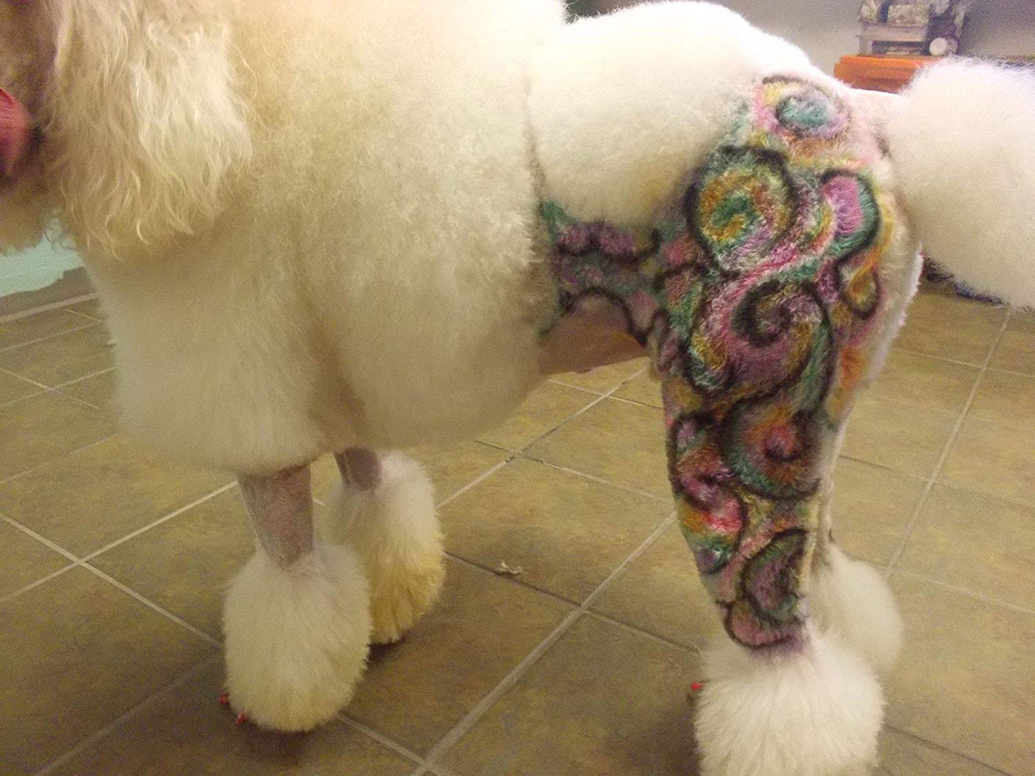 Critter Color Temporary Pet Fur Coloring- Warren London- Easy To Use- 7 Colors- Made in USA- Purple