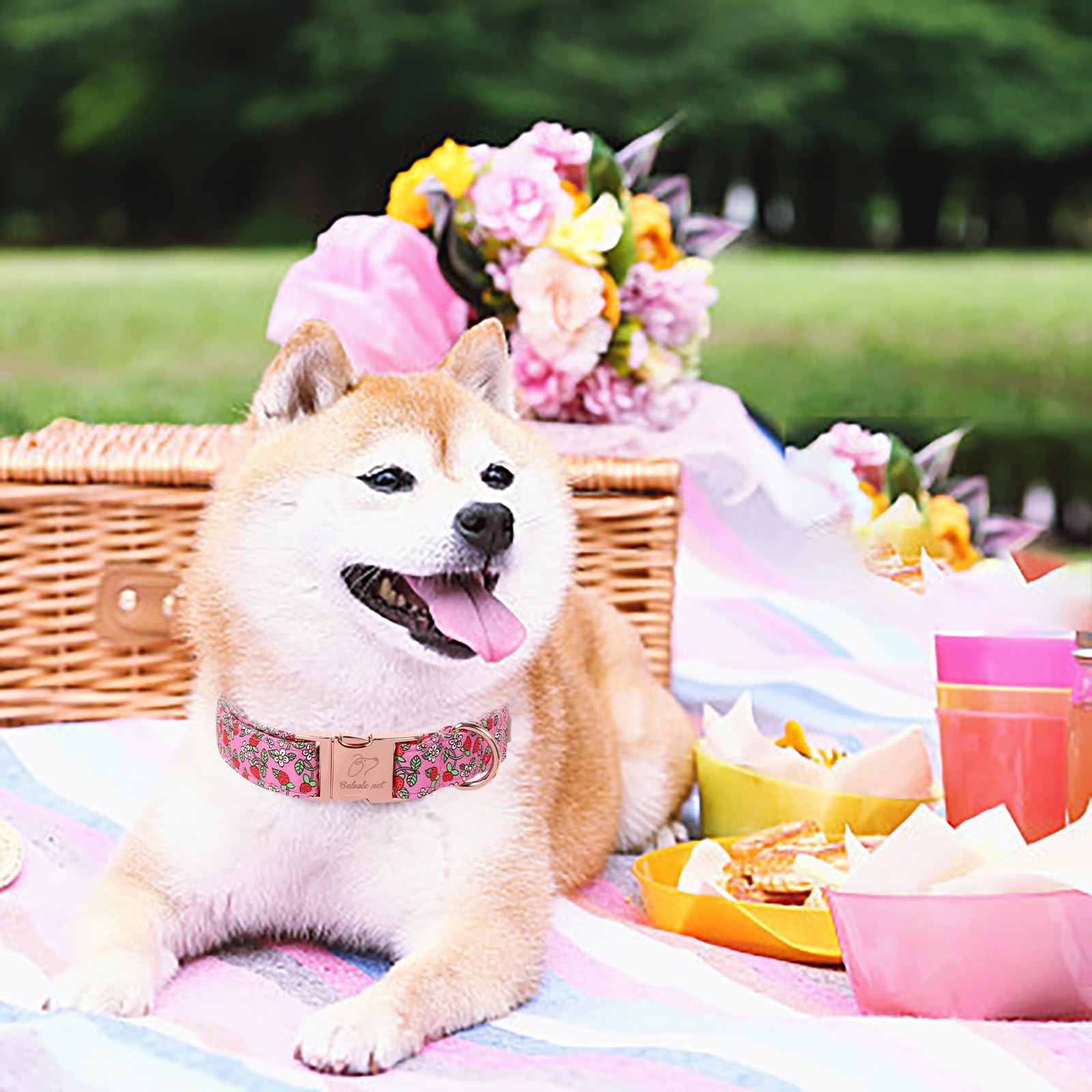 Babole Pet Sweet Strawberry Dog Collar, Cute Pink Summer Pet Collar With Metal Buckel, Durable Adjustable Designer Dog Collars F