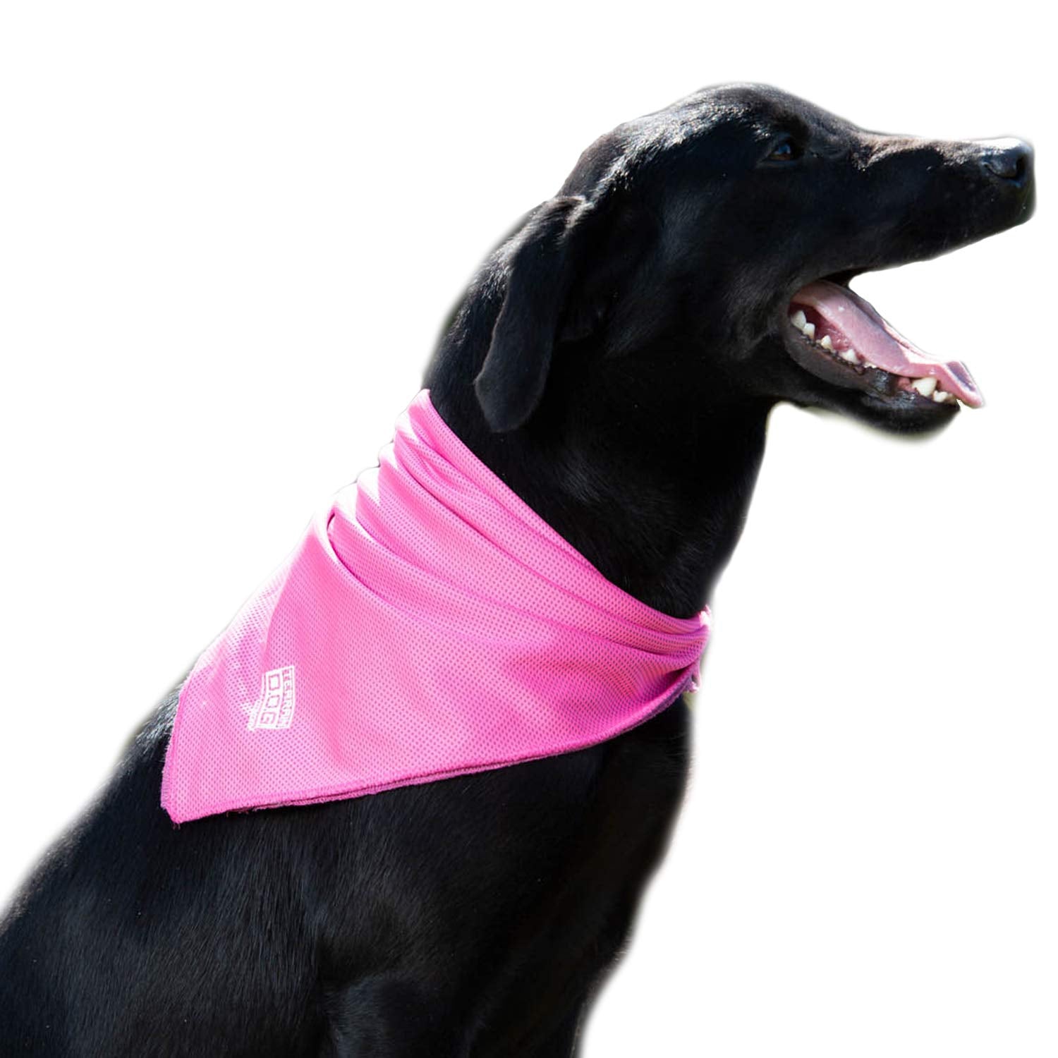 Terrain D.O.G. Cooling Bandana - Cooling Fabric Powered By Coolcore Technology - Machine Washable Scarf To Keep Your Pet Cool, P