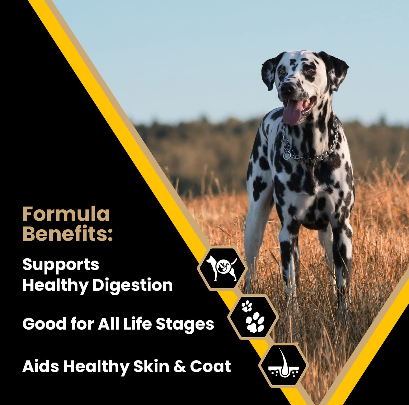 Victor Super Premium Dog Food - Multi-Pro Dry Dog Food - Gluten Free Dog Food with Beef, Chicken and Pork Protein for Normally A