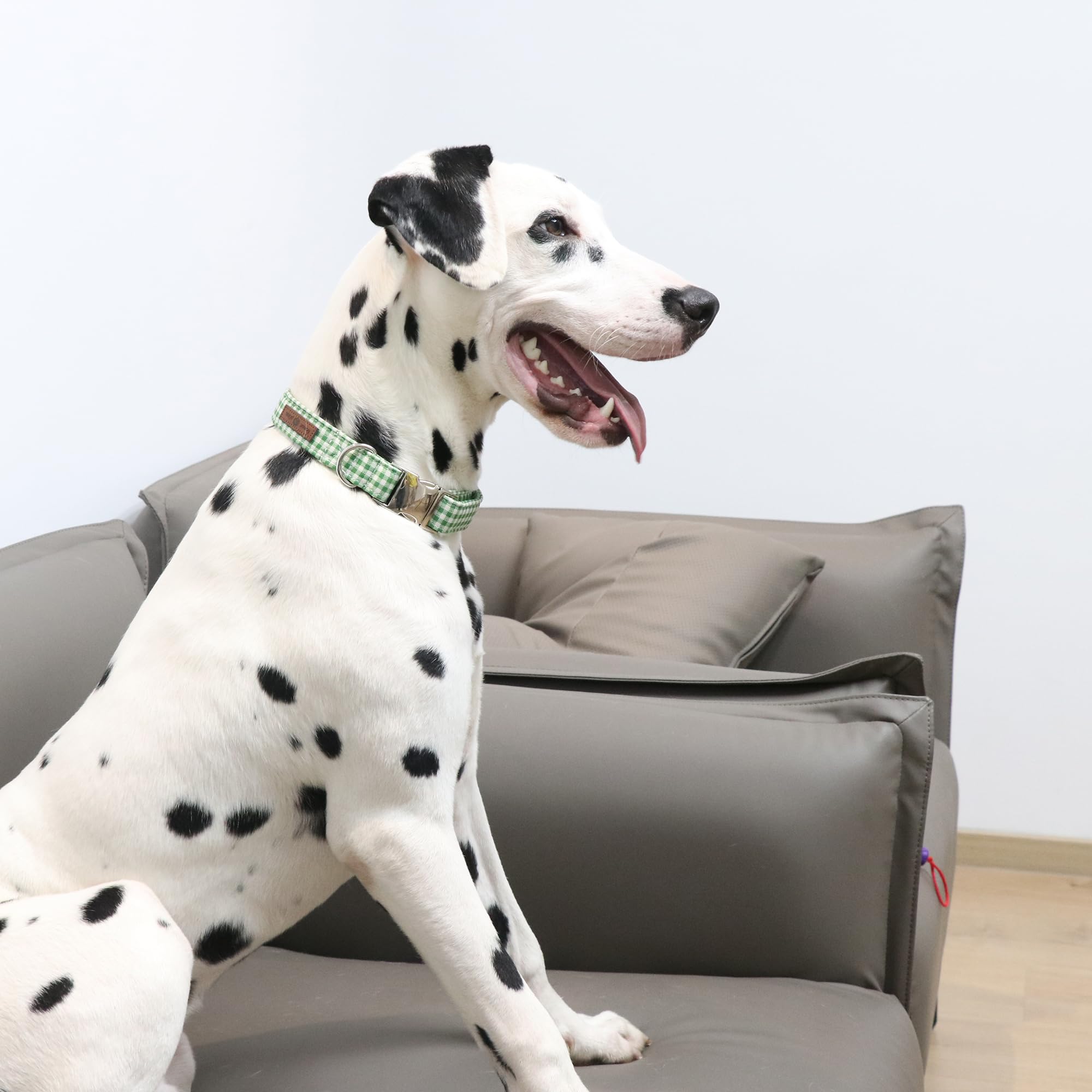 Lionet Paws Dog Collar, Comfortable Adjustable Cute Collar With Metal Buckle For Male Female Dogs, Green&White Grid Pattern, Xla