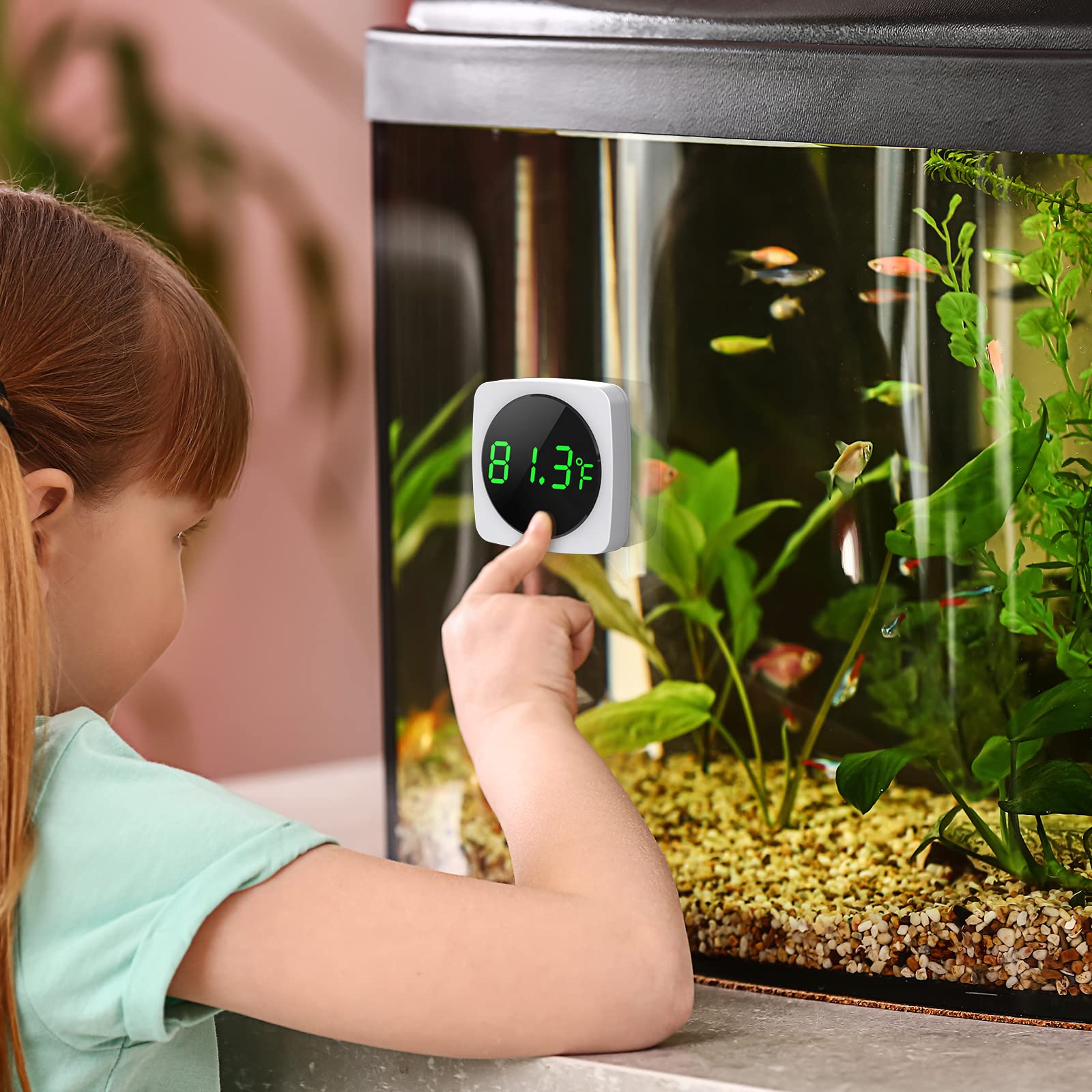 Digital Aquarium Thermometer, Paizoo Led Display Thermometer For Aquarium Fish Tank, High Accurate To ?.9?, Touch & Sleep Mode, Thermometer With Temperature Sensor On The Back For Fish, Turtles