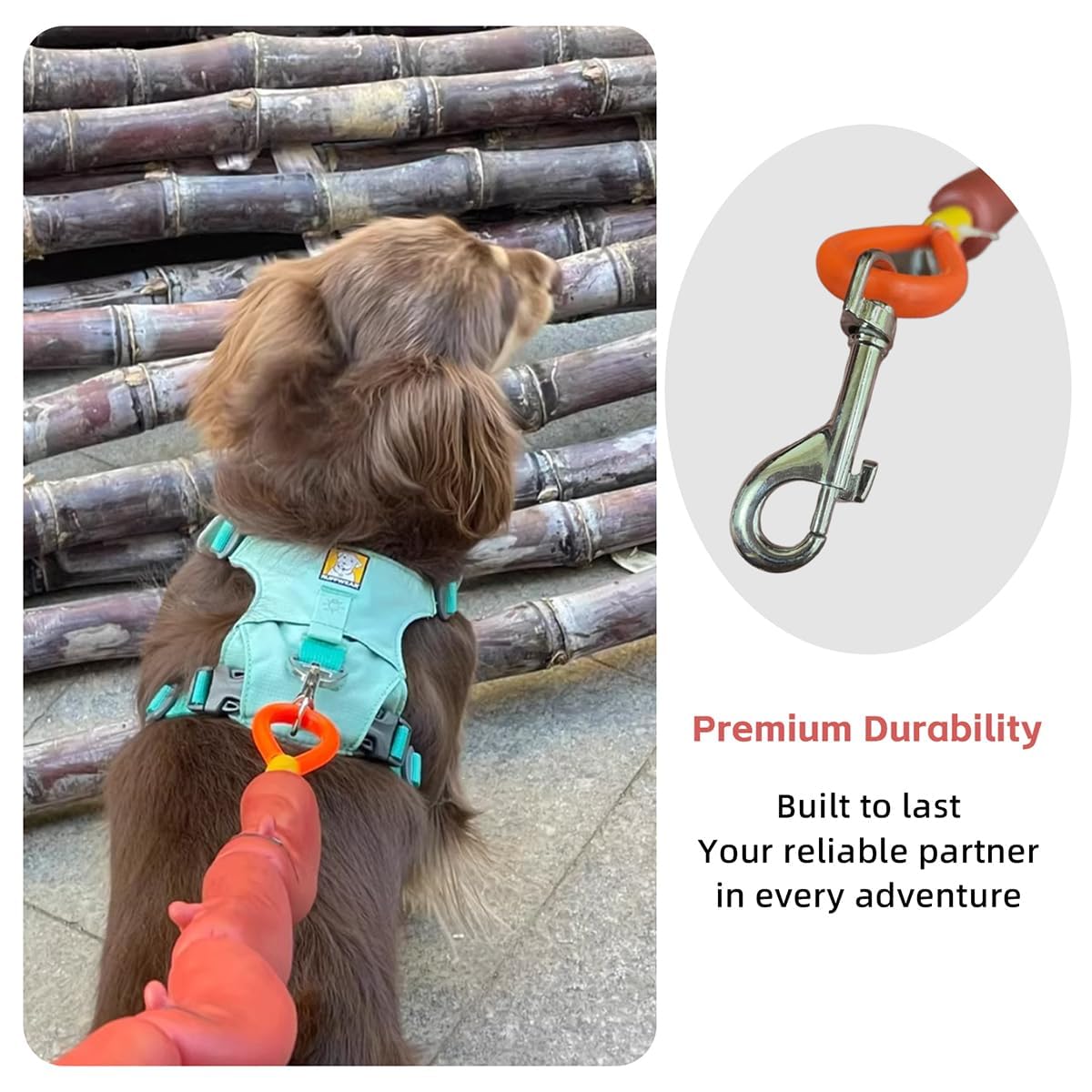 Manon Rosa Sausage Leash Hot Dog Walking Gear - Durable Rubber Wiener Hotdog Leash - Playful Pet Chew Toy For Small Dogs & Puppi