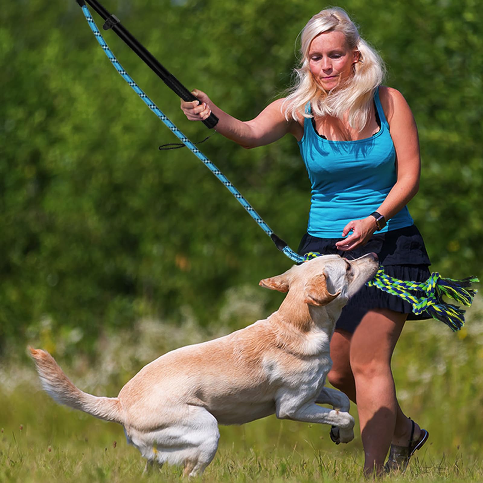 Iaigogo Flirt Pole For Dogs Heavy Duty,Dog Teaser Pole For Small Medium & Large Dogs,Interactive Outdoor Dog Toy With Replaceabl