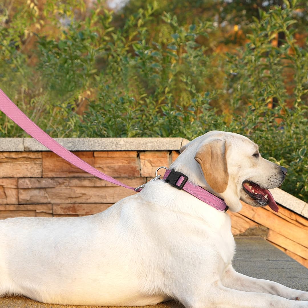 Penseepet Dog Leash 6 Ft Padded Handle Nylon Reflective Dogs Leashes For Large Dogs Pink