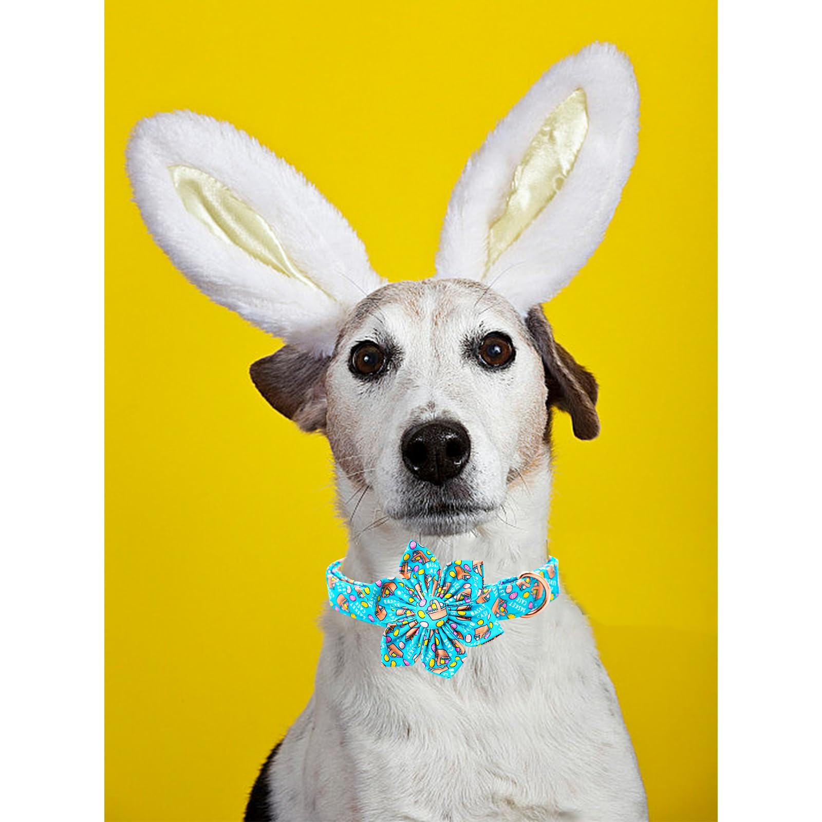 Lionheart Glory Easter Day Flower Dog Collar For Medium Dogs, Colorful Spring Collar With Easter Egg Design