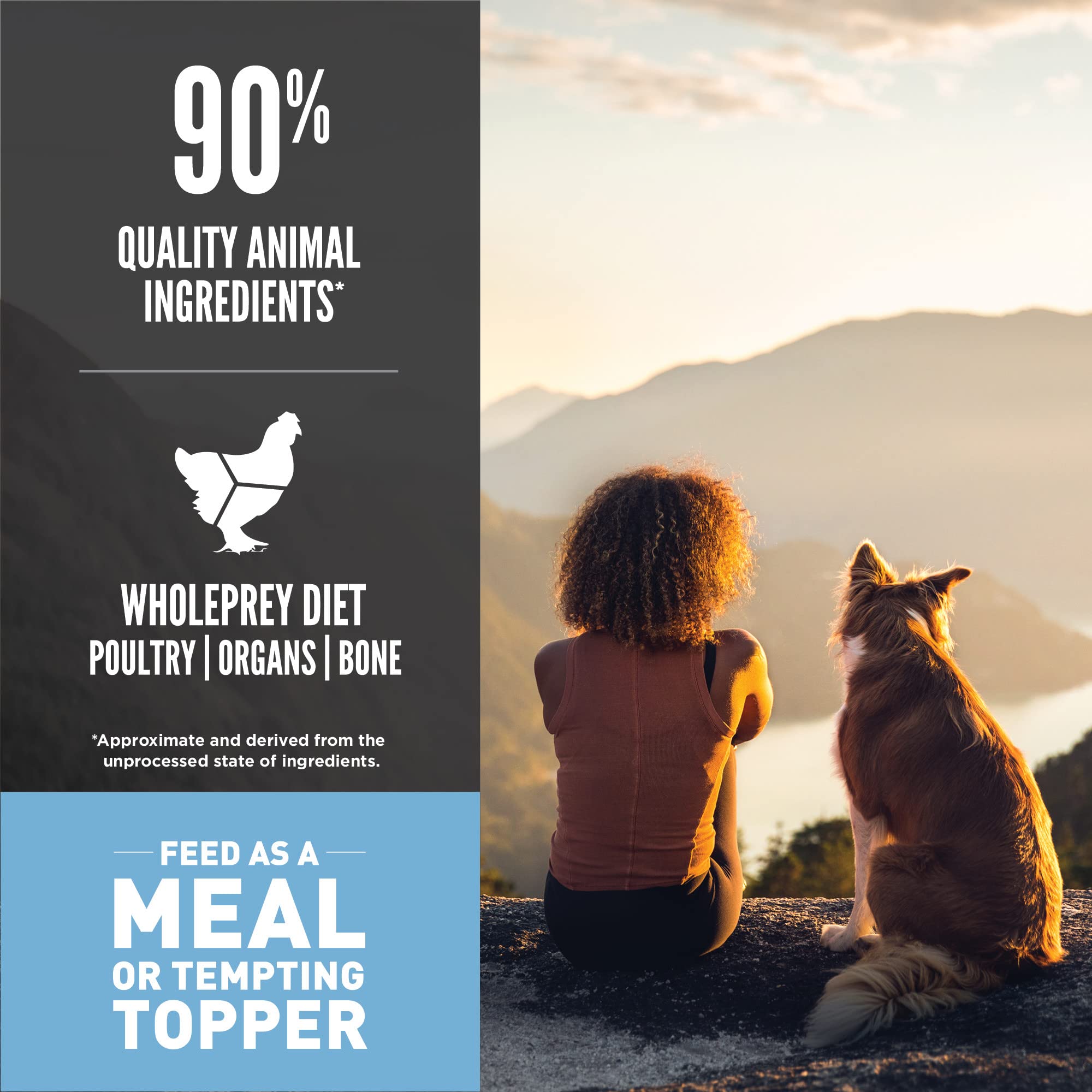 ORIJEN Original Freeze Dried Medallions, Grain Free Dry Dog Food and Topper, WholePrey Ingredients, 16 oz