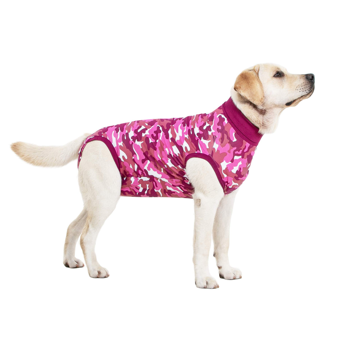 Suitical Recovery Suit For Dogs  Spay And Neutering Dog Surgery Recovery Suit For Male Or Female  Soft Fabric For Skin Condition