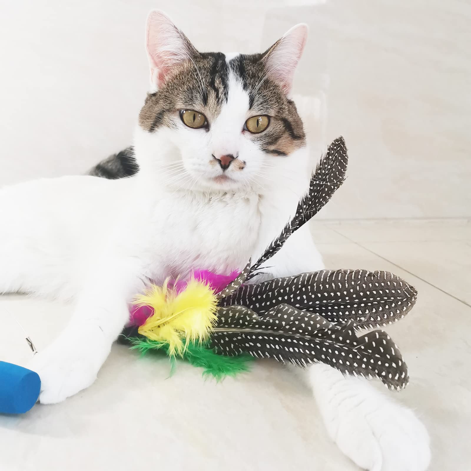 Tienailing Cat Feather Toys Replacement Cat Toy Wand Refills, 8 Pcs Natural Da Bird Feathers Refill, Interactive Cat Wand Replacement Feathers For Cat Toys