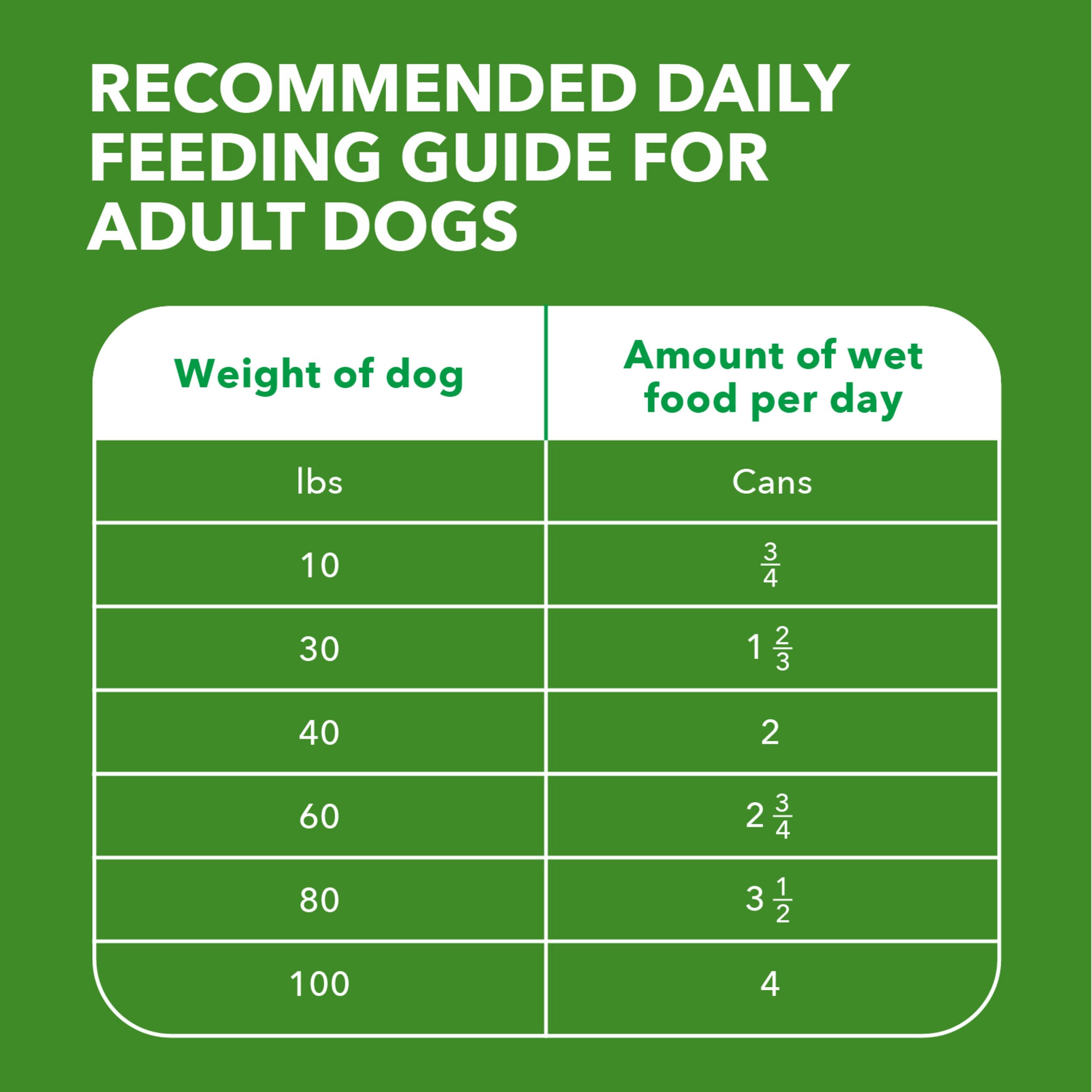 IAMS Proactive Health Adult Wet Dog Food Classic Ground with Lamb and Rice, 13 oz. Cans, Pack of 12
