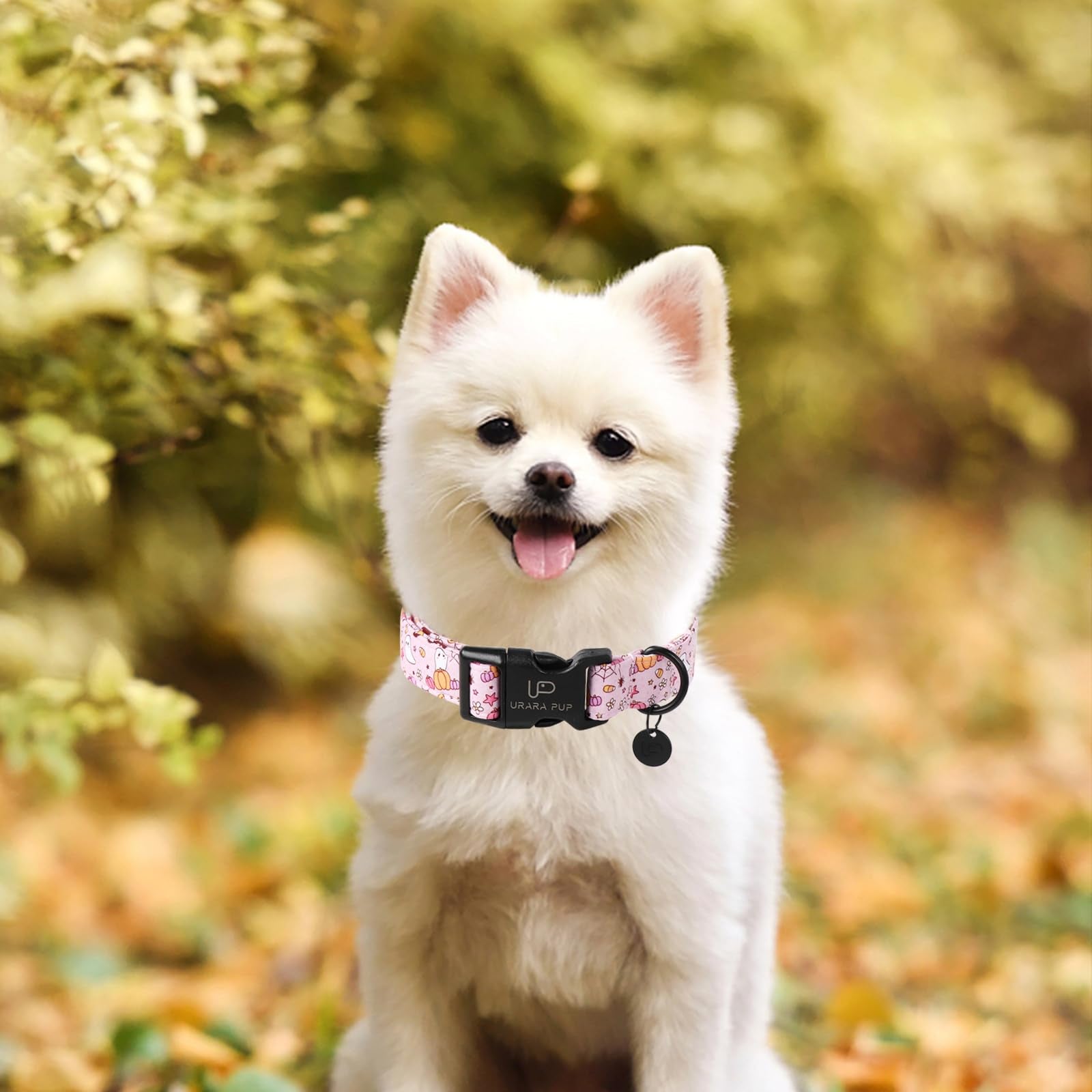 Up Urara Pup Halloween Dog Collar,Lightweight Pink Halloween Puppy Collar With Plastic Buckle,Fancy For Dogs,Suitable For Small