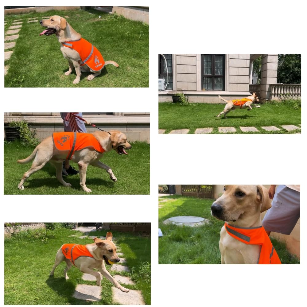 Idou Orange Reflective Dog Safety Vest - High Visibility For Walking, Jogging & Training - Size S