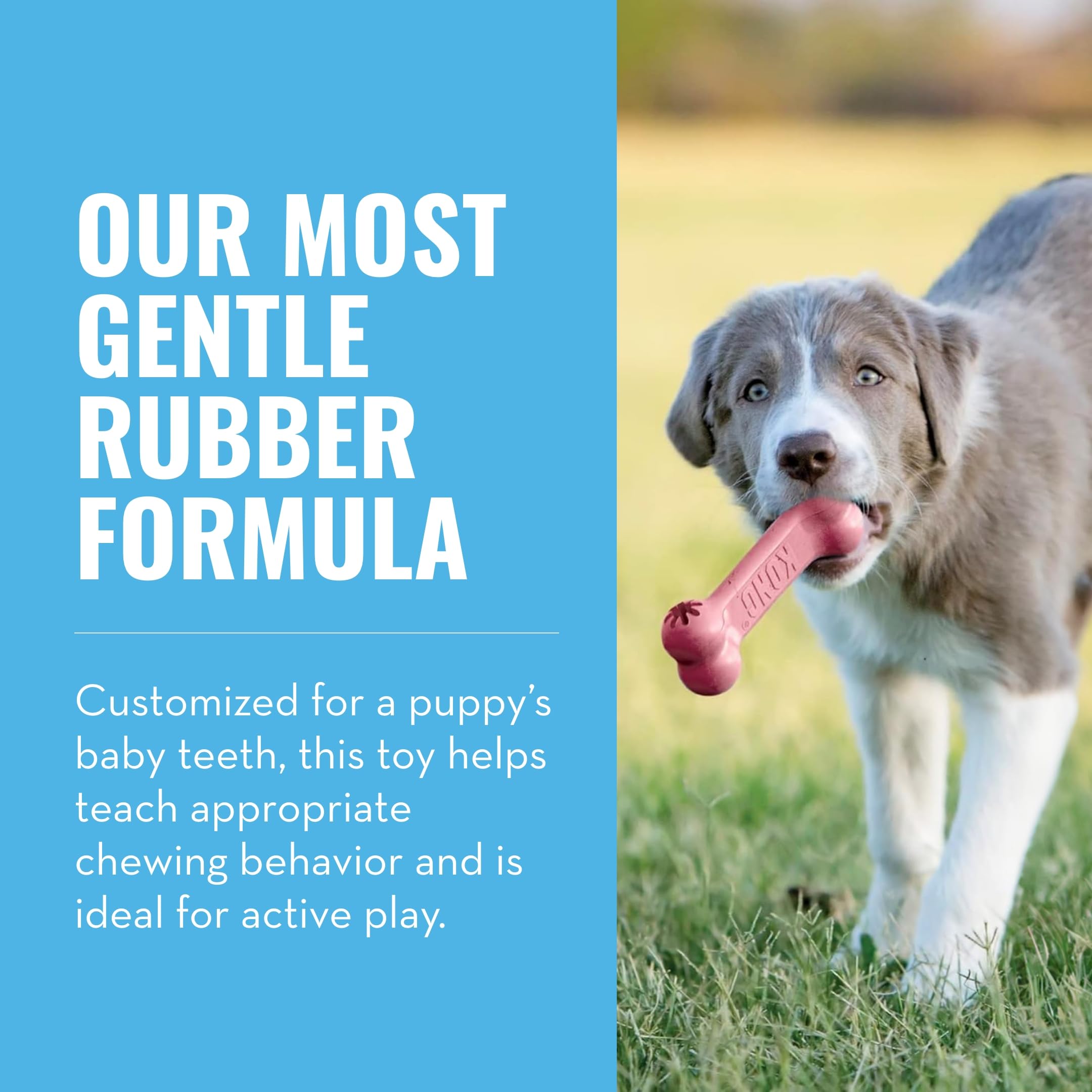 Kong Puppy Goodie Bone - Stuffable Dog Toy For Small Puppy - Natural Rubber Chew Toy For Puppies - Small Dog Toy For Teething Puppies - For Small Puppies - Pink