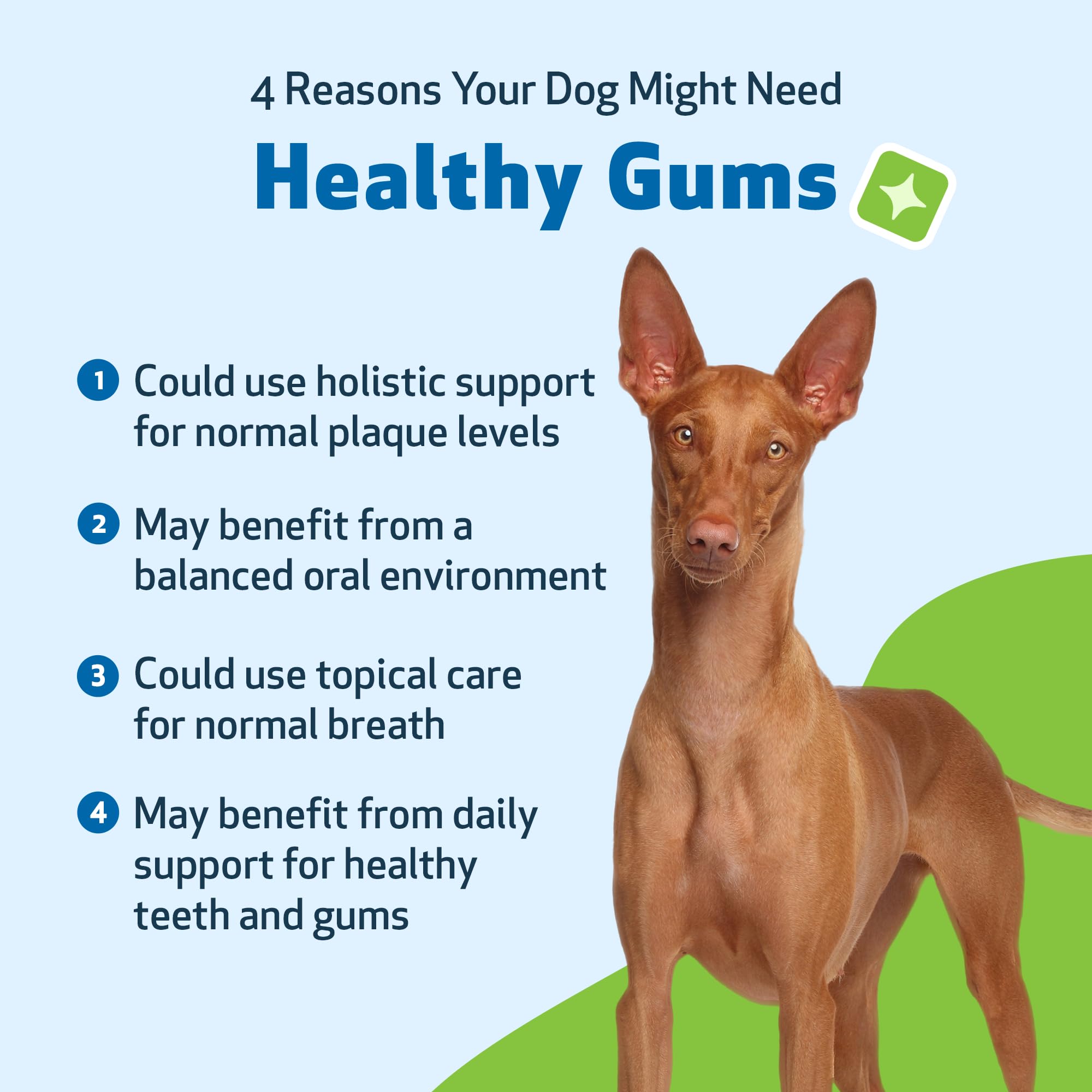 Pet Wellbeing - Healthy Gums for Dogs - Natural Supplement for Healthy Gums, Teeth and Breath Against Dog Gingivitis - 2oz (59ml