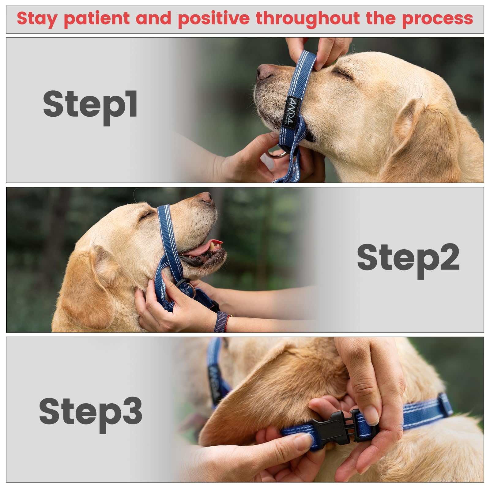 ANDA Ultra-Light No-Pull Gentle Leader for Dogs Headcollar: Adjustable, Breathable Comfort, Prevents Explosive Rushes, Ideal for