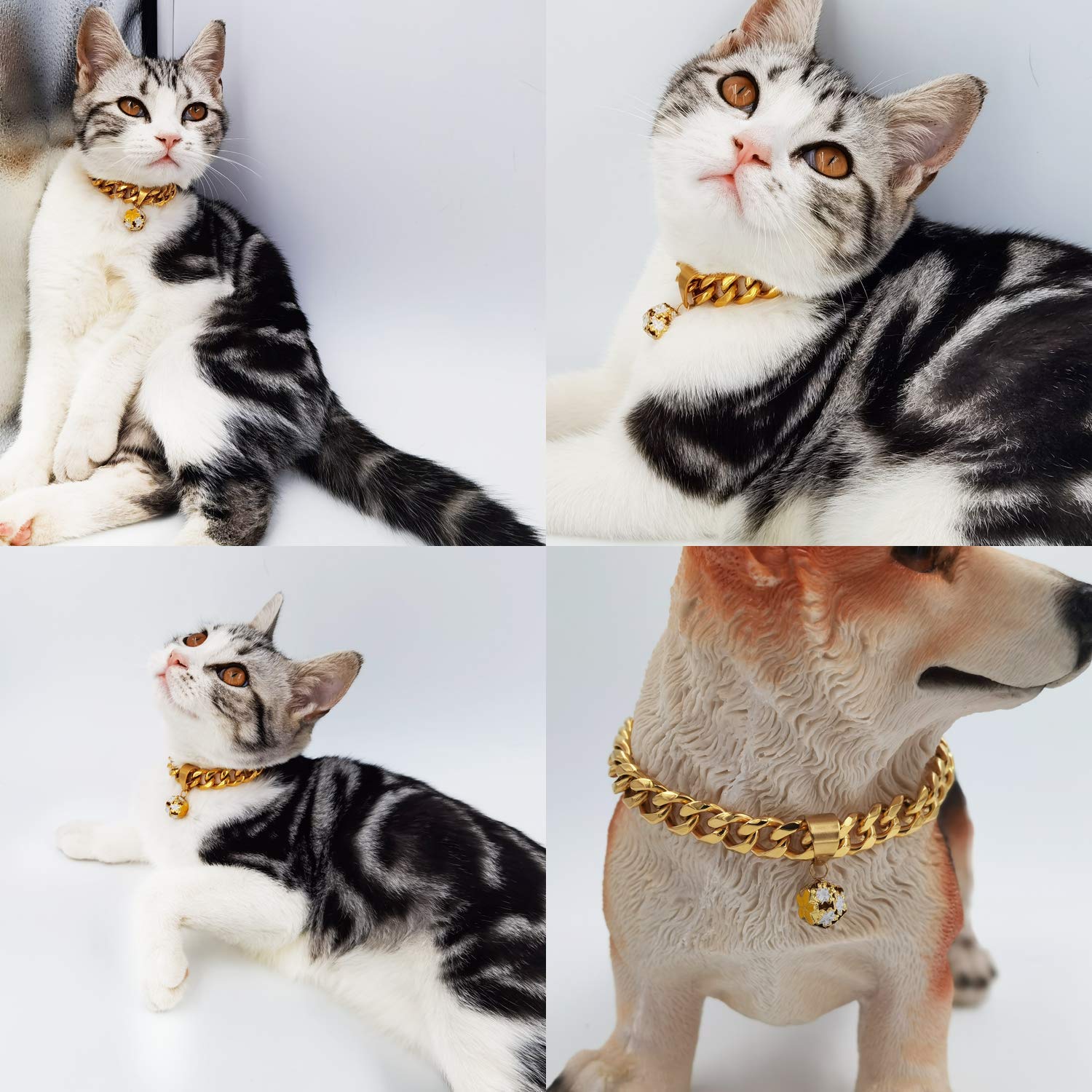 18K Gold Cat Dog Collar Kitten Puppy Wide Stainless Steel Kitten Choker Curb Chew Proof Cuban Link 1/2Inch Chain With Clover Bel