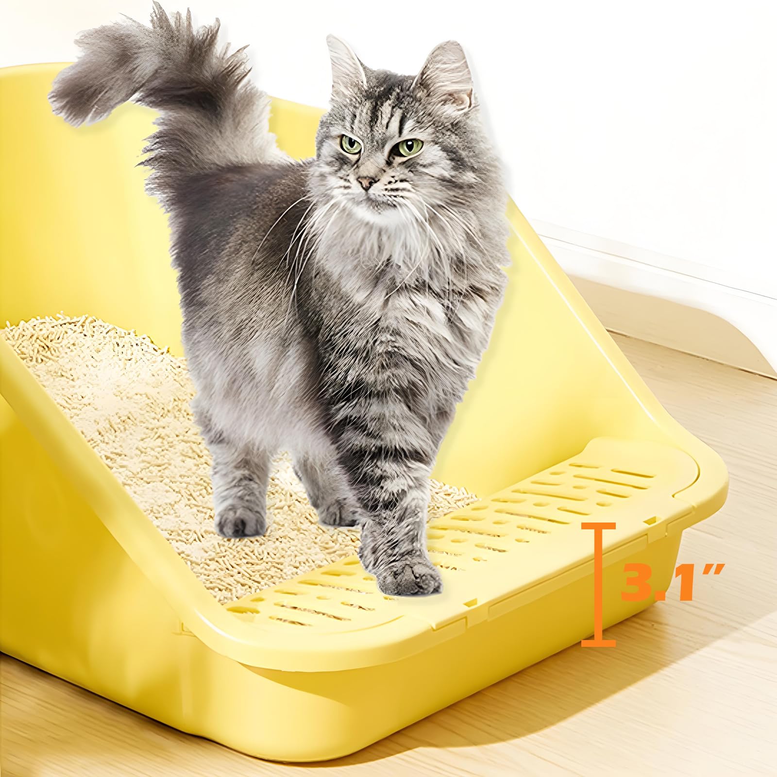 SpaceTime Large Cat Litter Box with High Sides,Cat Boxes for Indoor Cats,Cat Litter Pan for Kitty,Litter Box with Low Entry,Easy