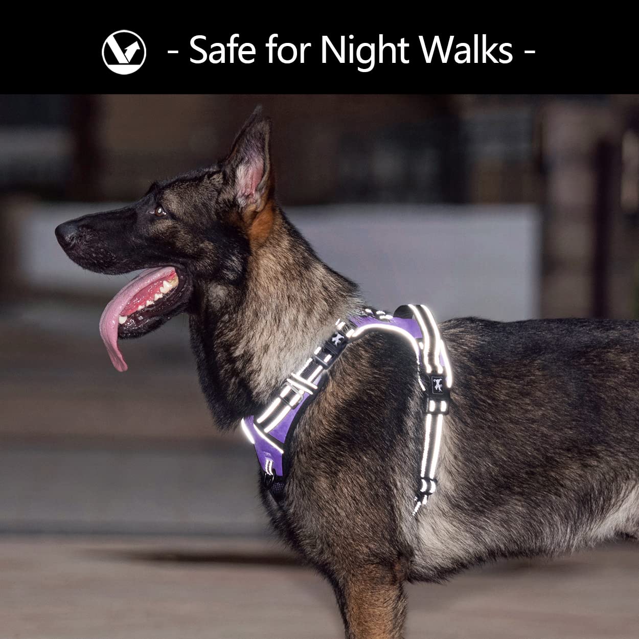 Poypet 2019 Upgraded No Pull Dog Harness With 4 Snap Buckles, Reflective With Front & Back 2 Leash Hooks And An Easy Control Handle [No Need Go Over Dog’S Head] (Purple,S)