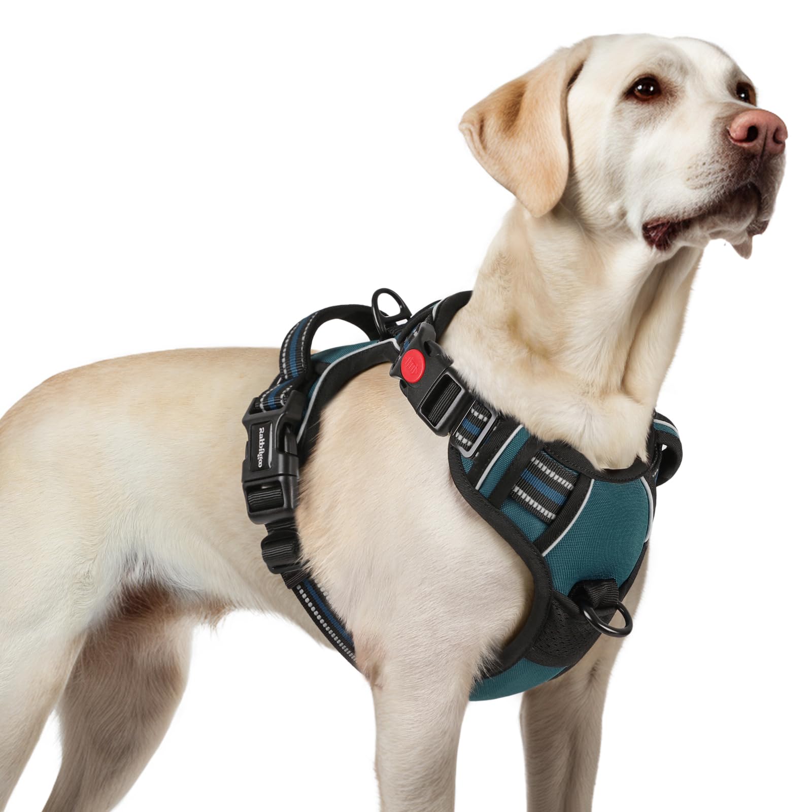 Rabbitgoo Dog Harness For Large, No Pull Pet Harness With 3 Buckles, Adjustable Soft Padded Pooch Vest With Instant Control Hand