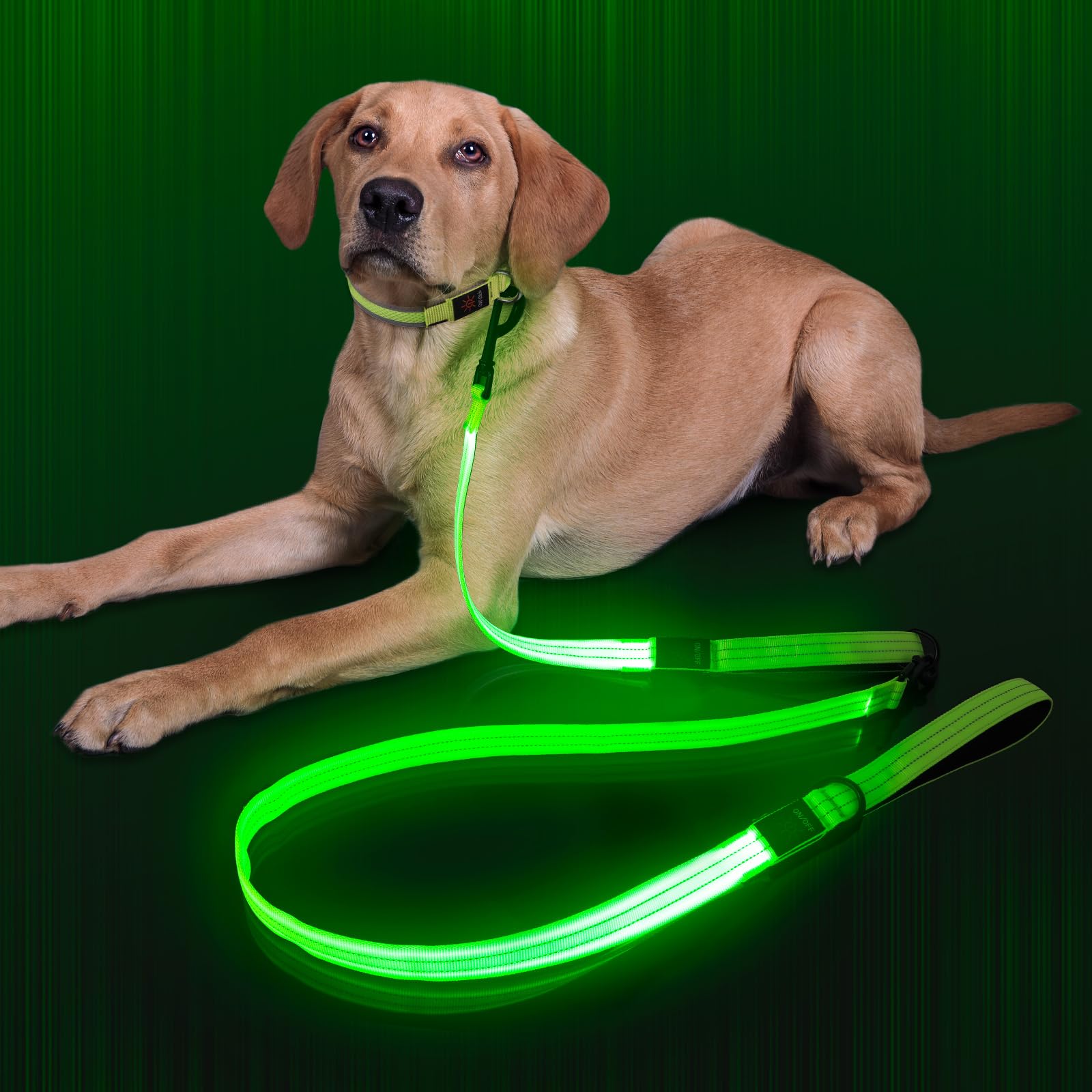 Dlitk Light Up Dog Leash, Led Leashes Rechargeable, Nylon Reflective Lead With Padded Handle For Night Walking, Safety Glow Ligh