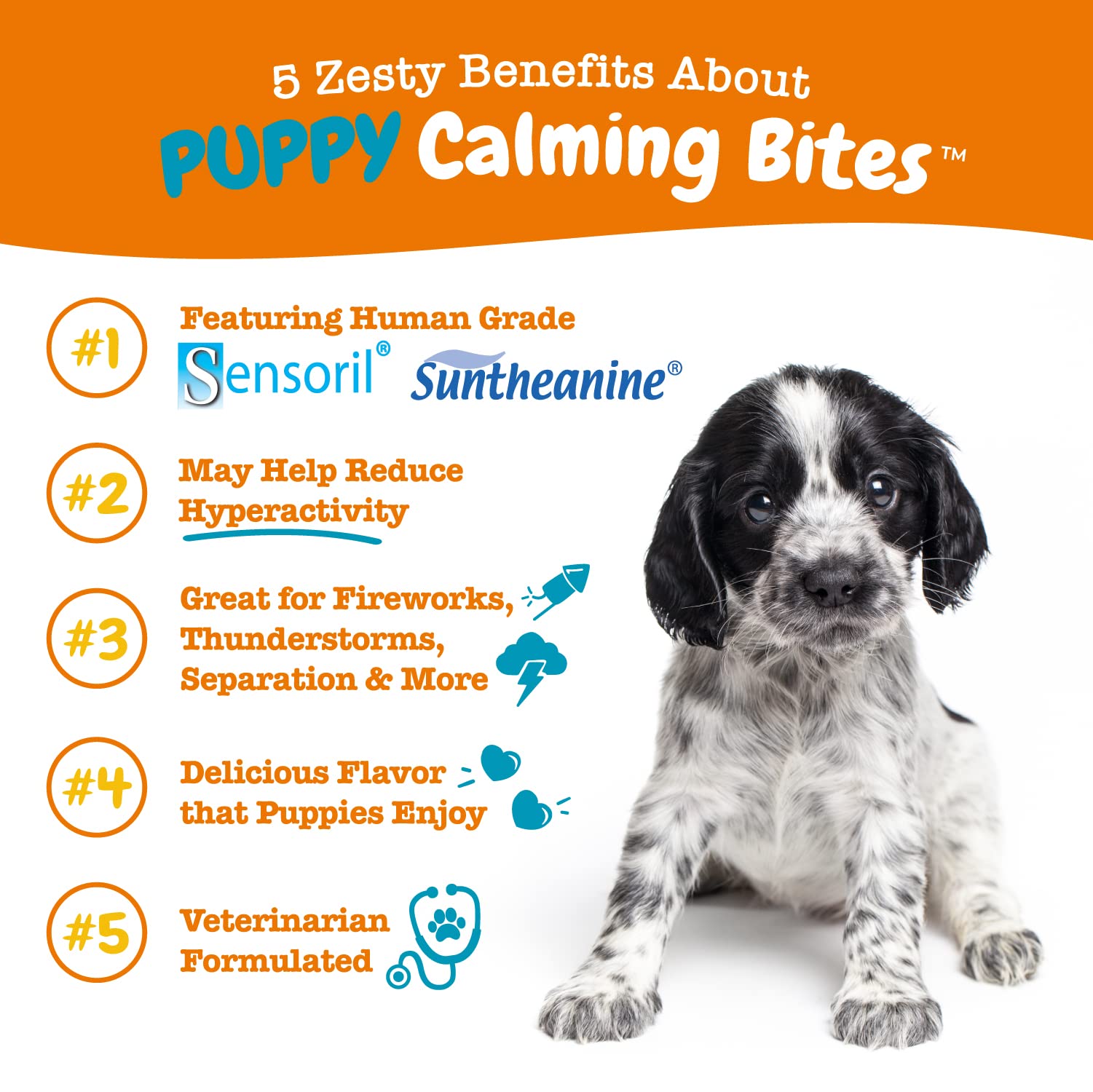 Zesty Paws Calming Chews for Dogs Composure & Relaxation for Everyday Stress & Separation Turkey Puppy 90 Count