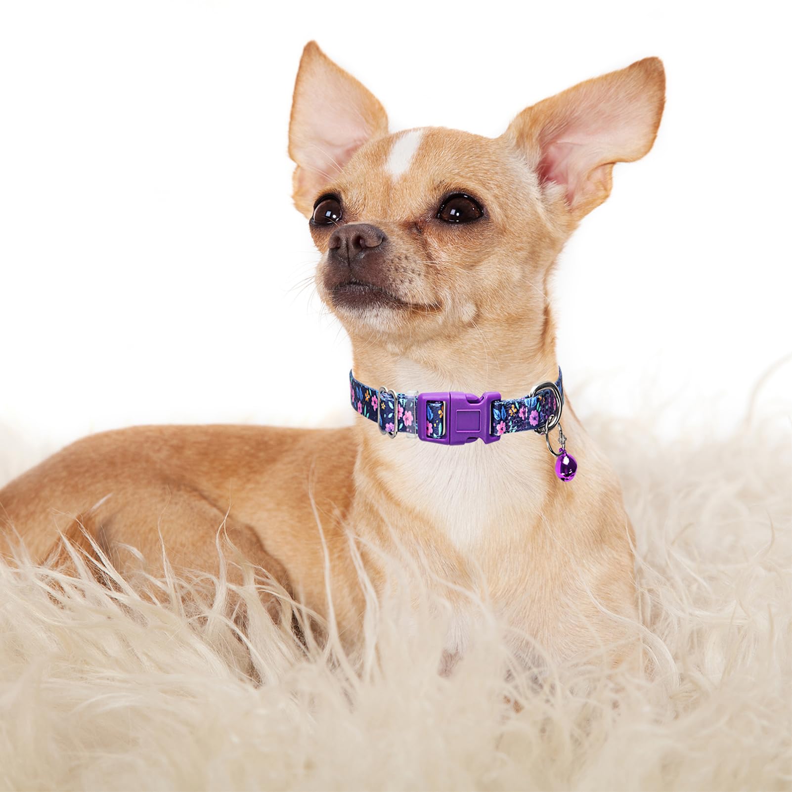Purple Floral Puppy Collar With Bell, Pretty Cute Flower Girl Dog Collar Tiny Kitten Collars With Bells For Xs Small Pet Female