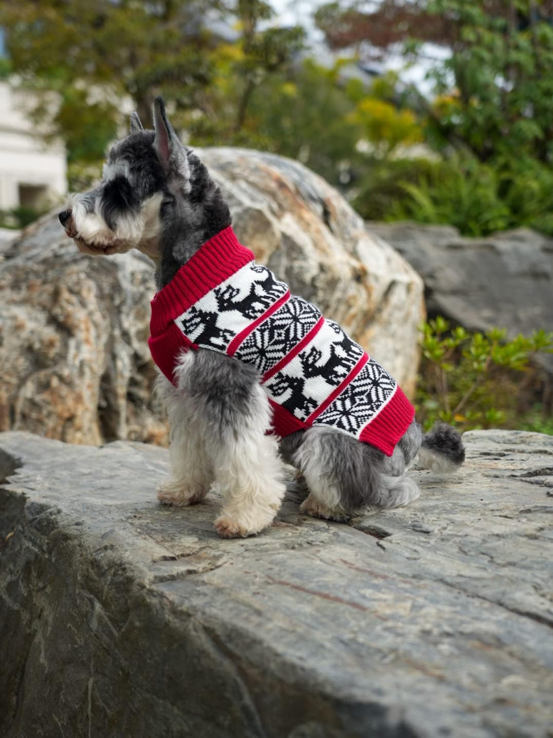 Lanyarco Ugly Vintage Dog Christmas Sweater, Knit Xmas Reindeer Holiday Festive Christmas Dog Sweaters For Small Dogs, Medium M 14'