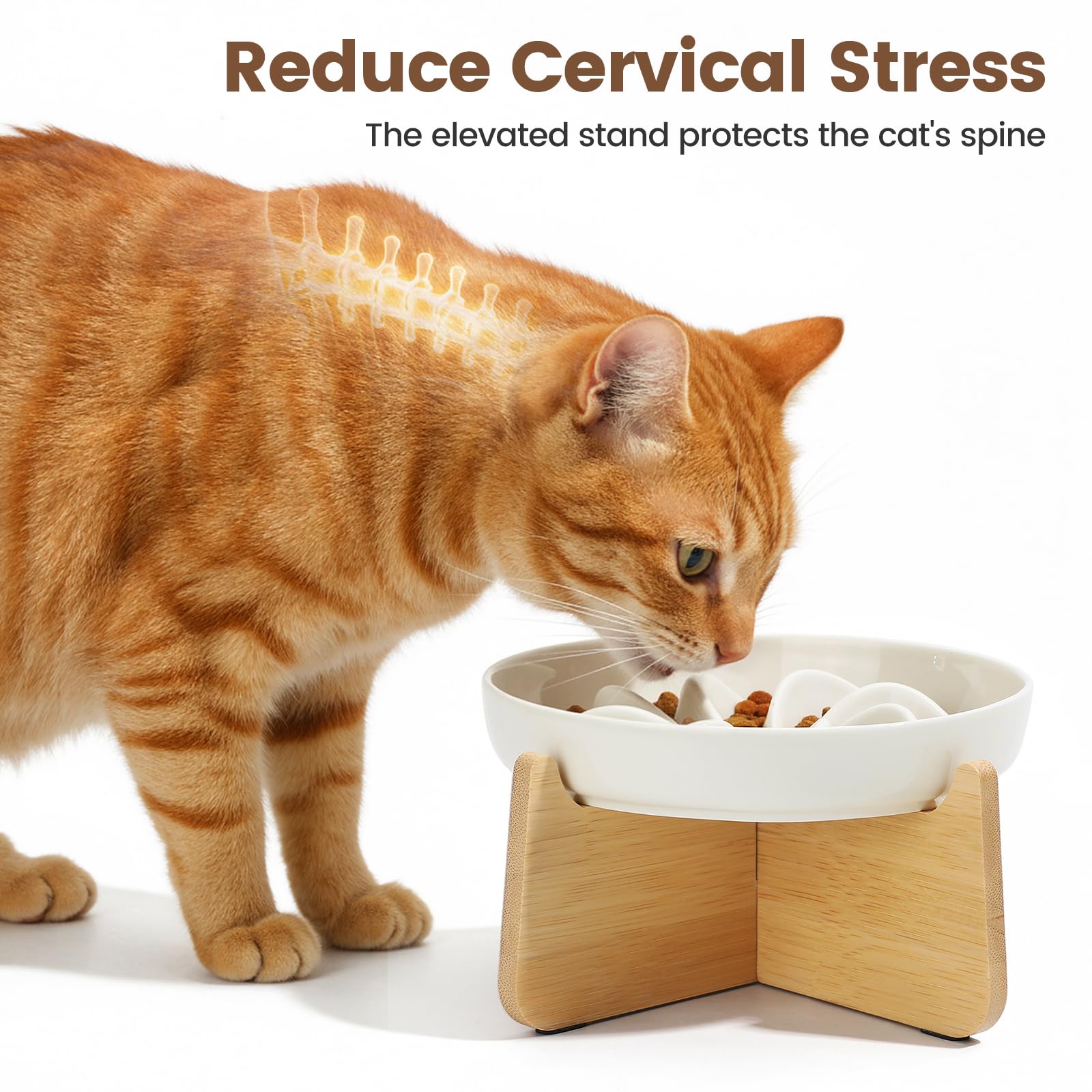 PETTOM Slow Feeder Cat Bowl with Stand, Ceramic Slow Eating Cat Bowl with Higher Edges ,Elevated Cats Food Bowls for Dry and Wet