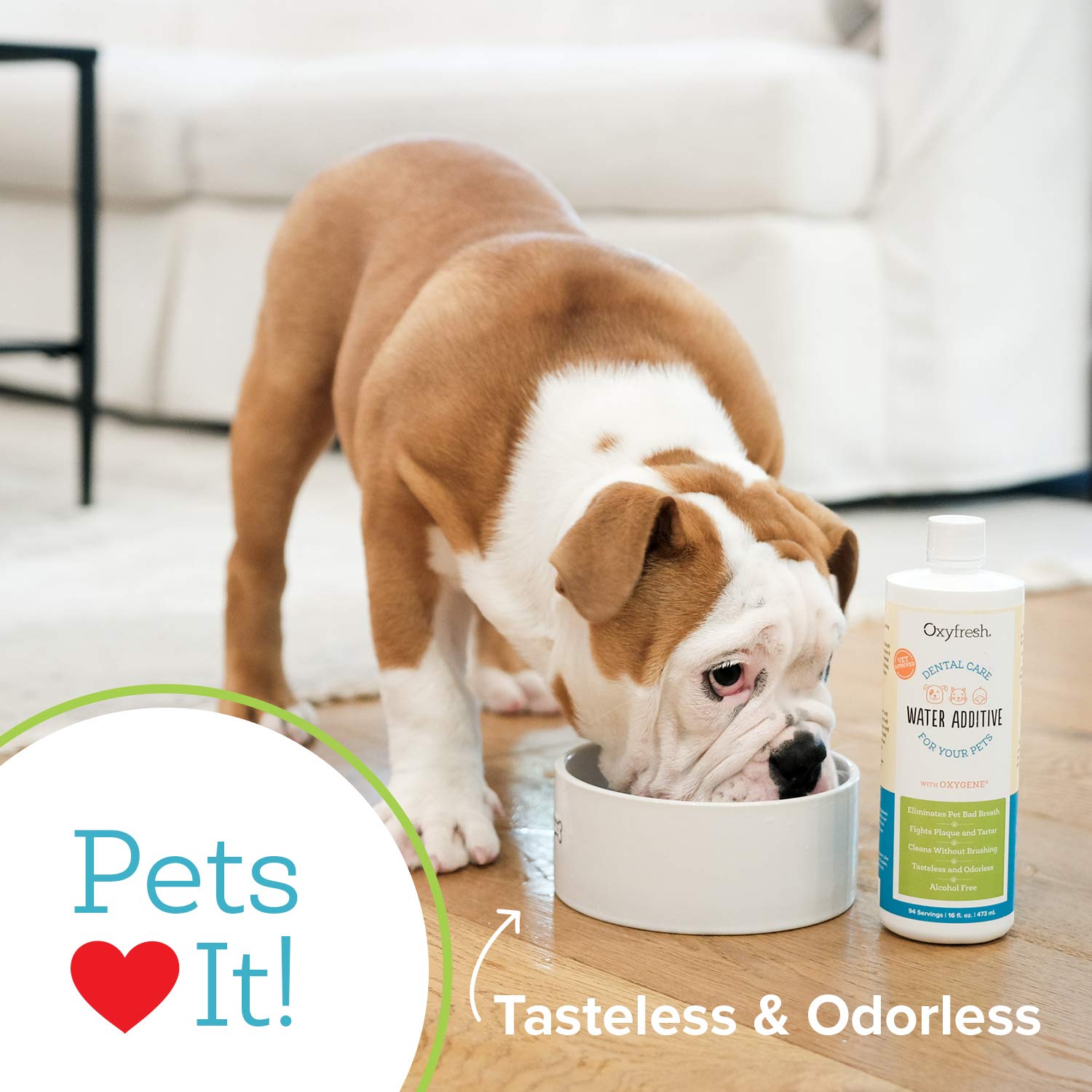 Oxyfresh Pet Dental Care Water Additive - Eliminates Bad Breath & Fights Tartar & Plaque - 16 Fl oz - Vet Recommended