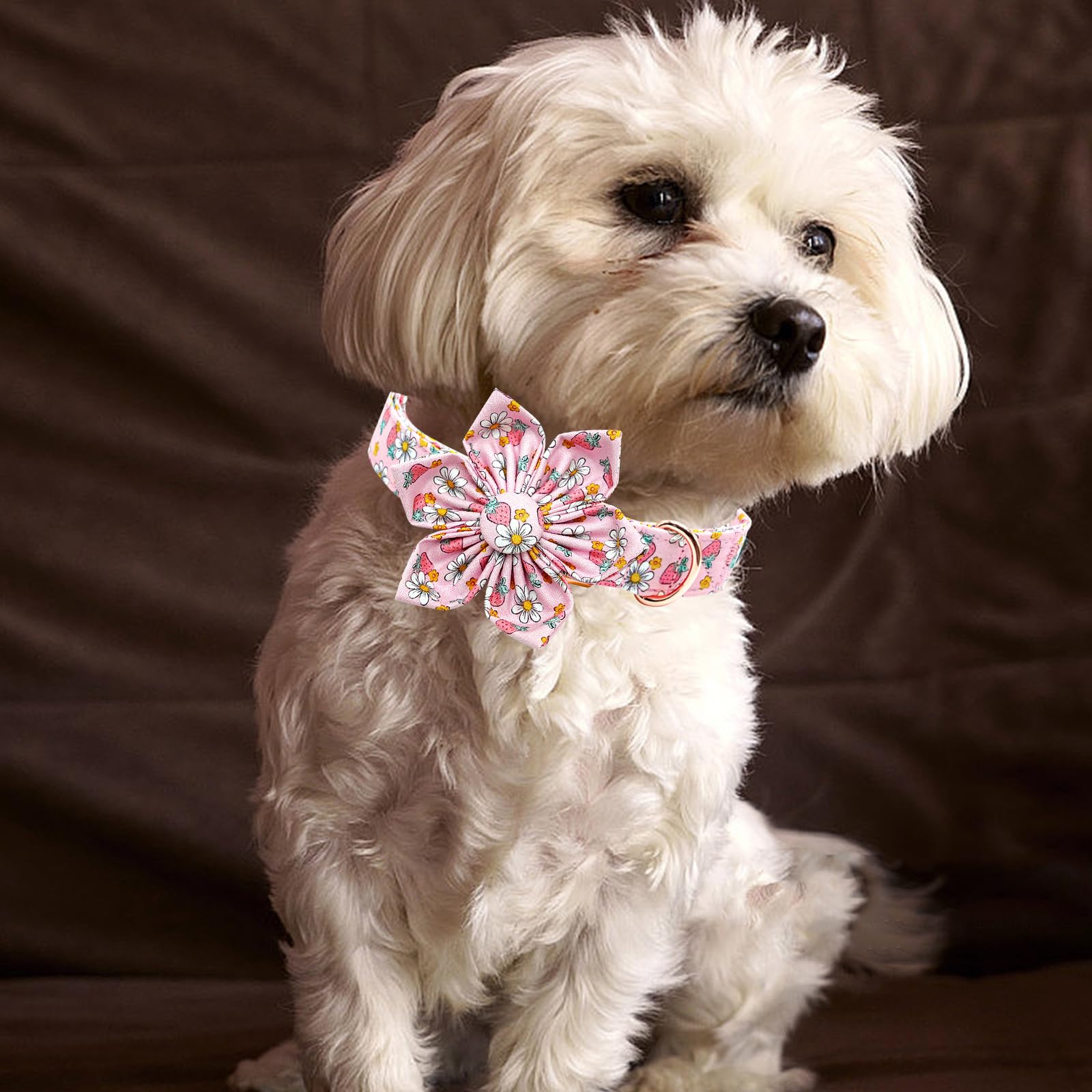 Lionheart glory Dog Collar Flower Collar Pink Dog Collar with Flower Spring Summer Cute Collar Dog Female Soft Durable Adjustabl
