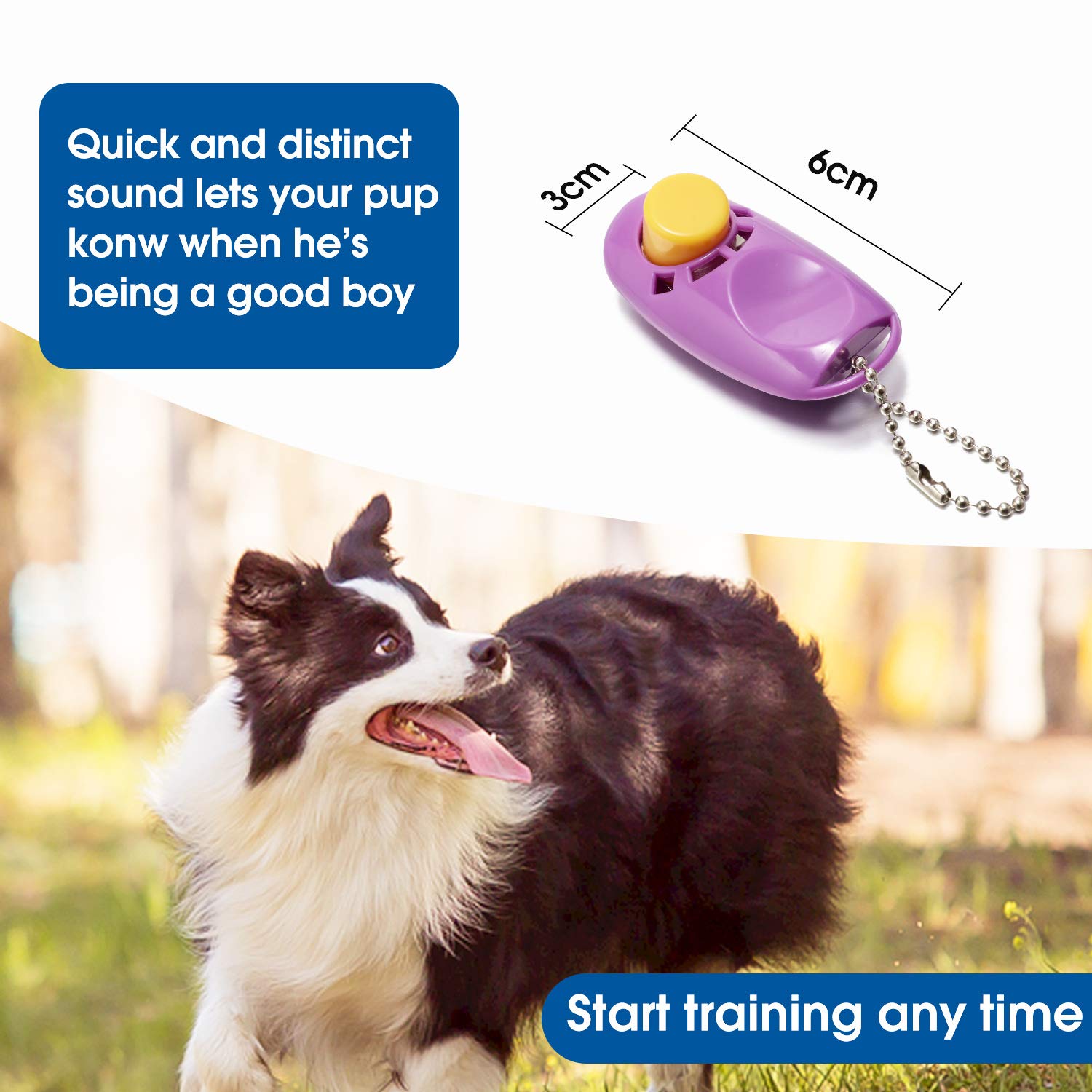 Baapet 15/20/30/50/100 Ft Long Dog Training Leash With Clickers For Small  Medium And Large Dogs Or Cats (100 Feet  Purple) -Like New