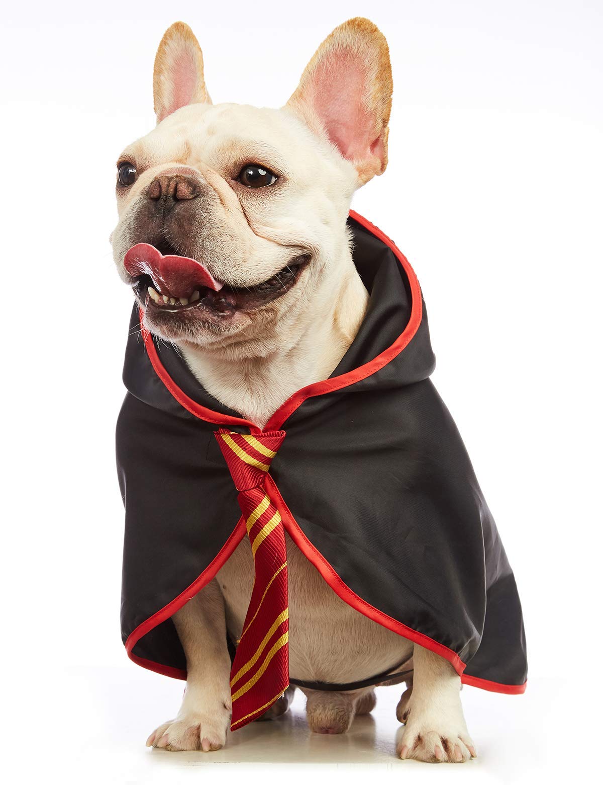 Impoosy Pet Halloween Dog Hoodies Funny Cat Wizard Costume Cute Apparel Soft Shirts Clothes With Glasses (X-Large,Neck:21')