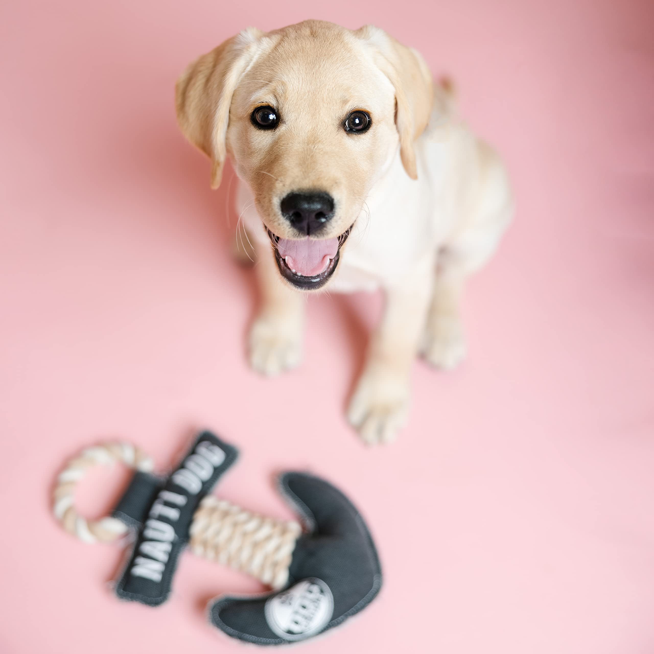 Pavilion Gift Company Pavilion-Nauti Anchor 13 Inch Large Tug Of War Rope Sturdy & Durable Canvas Dog Toy, Grey