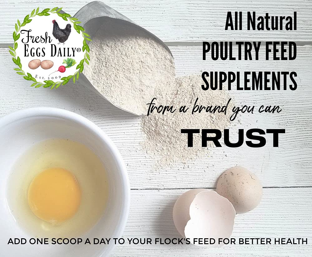 Fresh Eggs Daily Brewer's Yeast with Garlic & Niacin for Ducks & Ducklings - 1LB Feed Supplement for Backyard Chickens