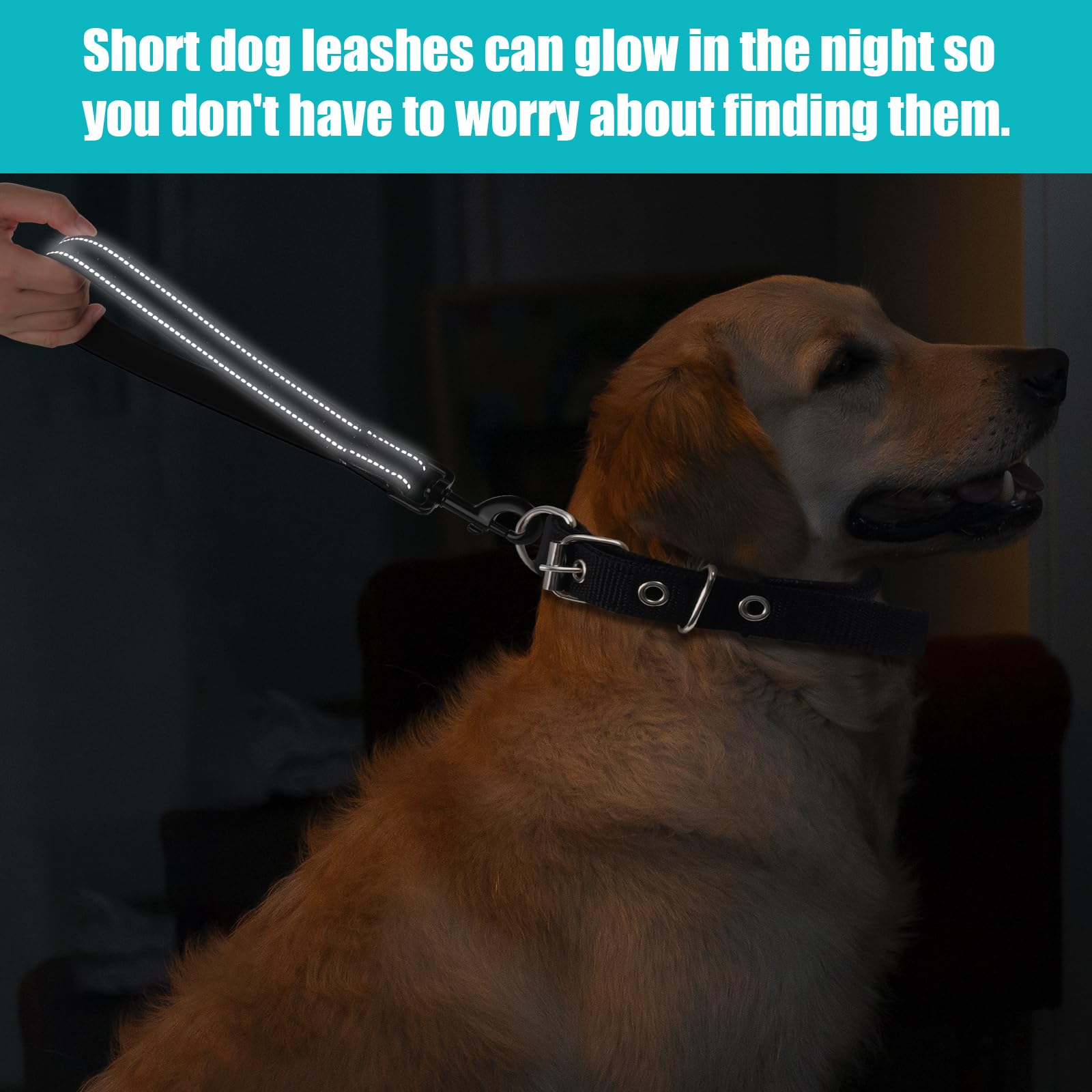 Star Short Dog Leash With Reflective Nylon Padded Handle - Ideal For Training Control Of Large And Medium Dogs